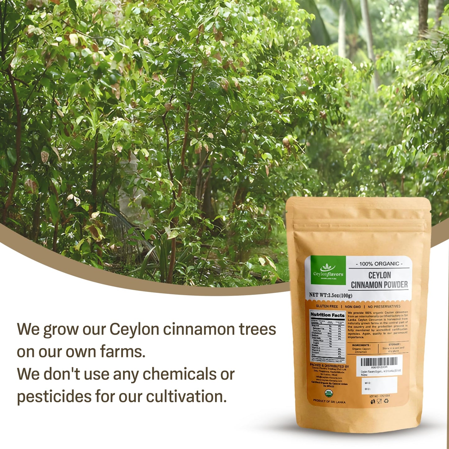 CEYLONFLAVORS FRESH AND PURE Organic Ceylon Cinnamon Powder, 3.5 oz