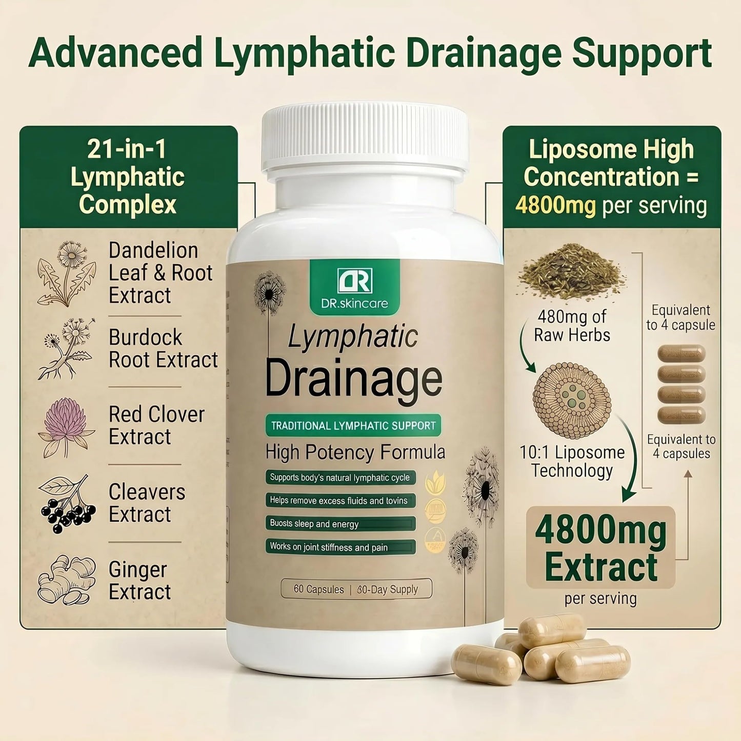 DR. SKIN CARE Lymphatic Drainage Support Supplement for Women and Men – Daily Wellness Softgels with Echinacea, Dandelion, Burdock Root, Cleavers – 60 Count