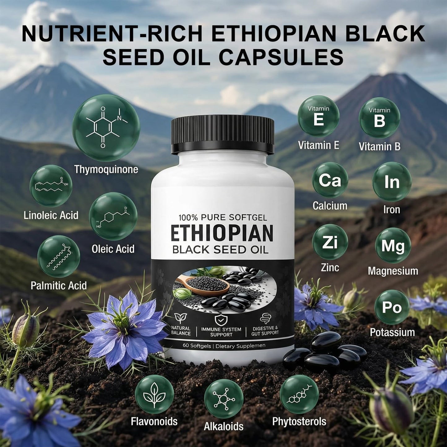HIDLY Black Seed Oil Capsule 60 Count