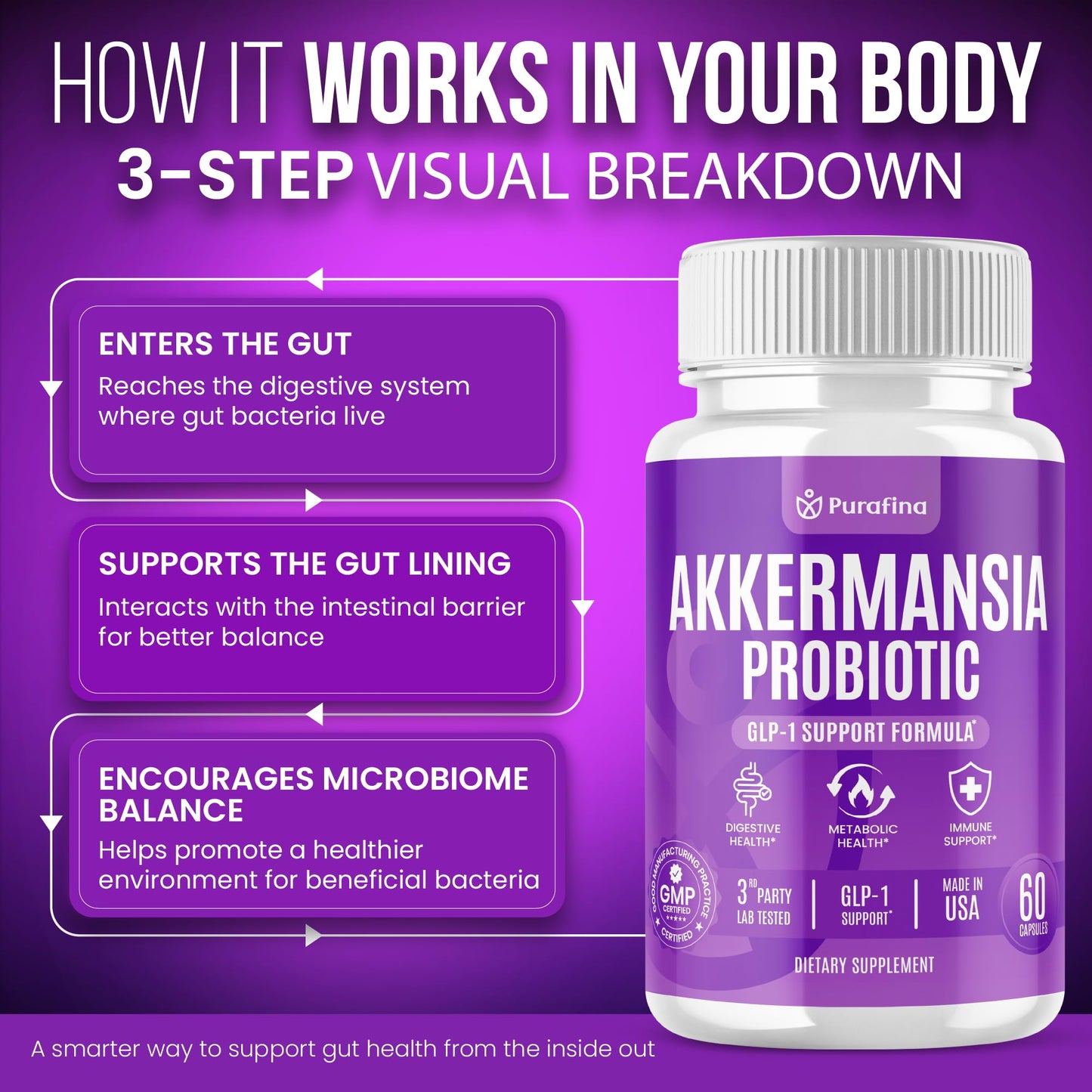Purafina Akkermansia Probiotic with Prebiotic Chicory Inulin for Increased GLP-1 Support, Akkermansia Muciniphila Probiotic Supplement Delayed Release, Gut Health & Digestive Support Capsule 60 Count