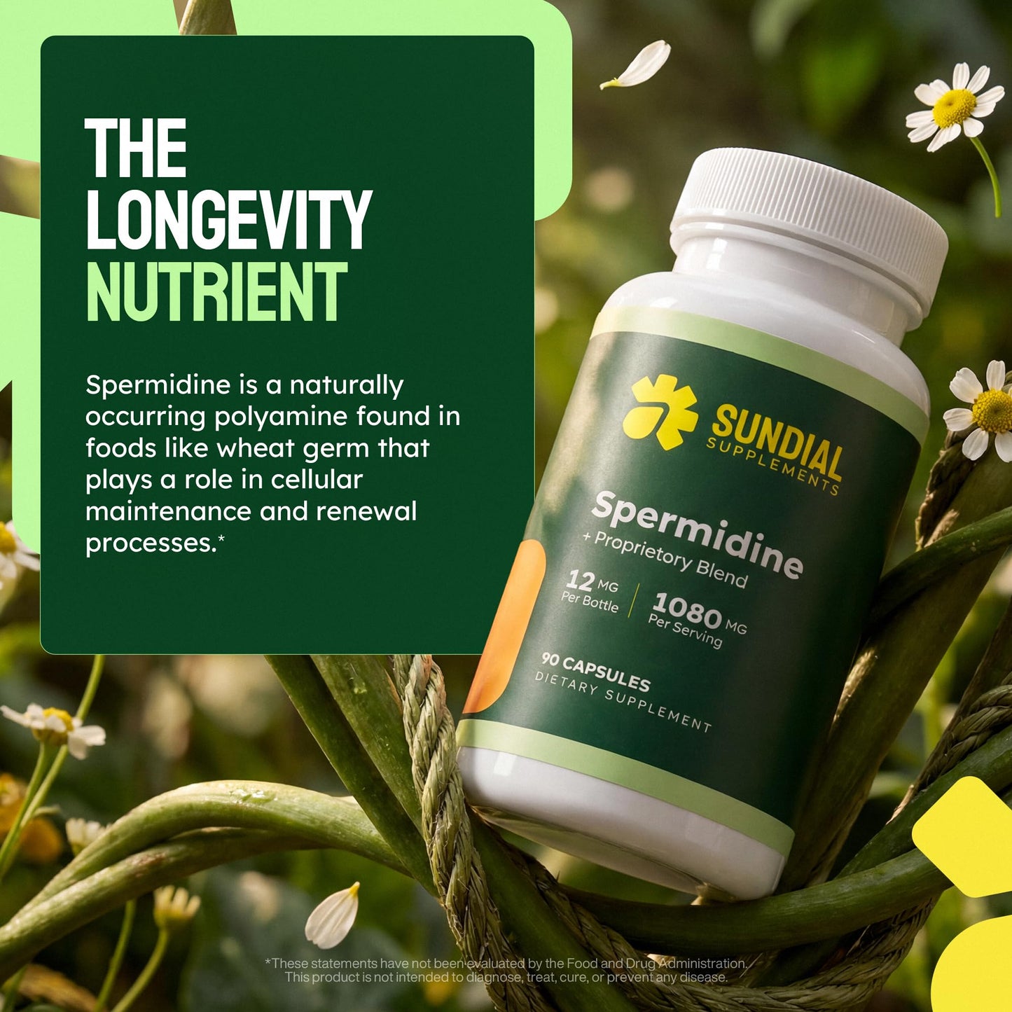 Sundial Supplements Spermidine 12 mg with Proprietary Blend, NR, NMN, PQQ, Magnesium Bisglycinate, Black Pepper, Adult Daily Supplement Capsule, 90 Capsules