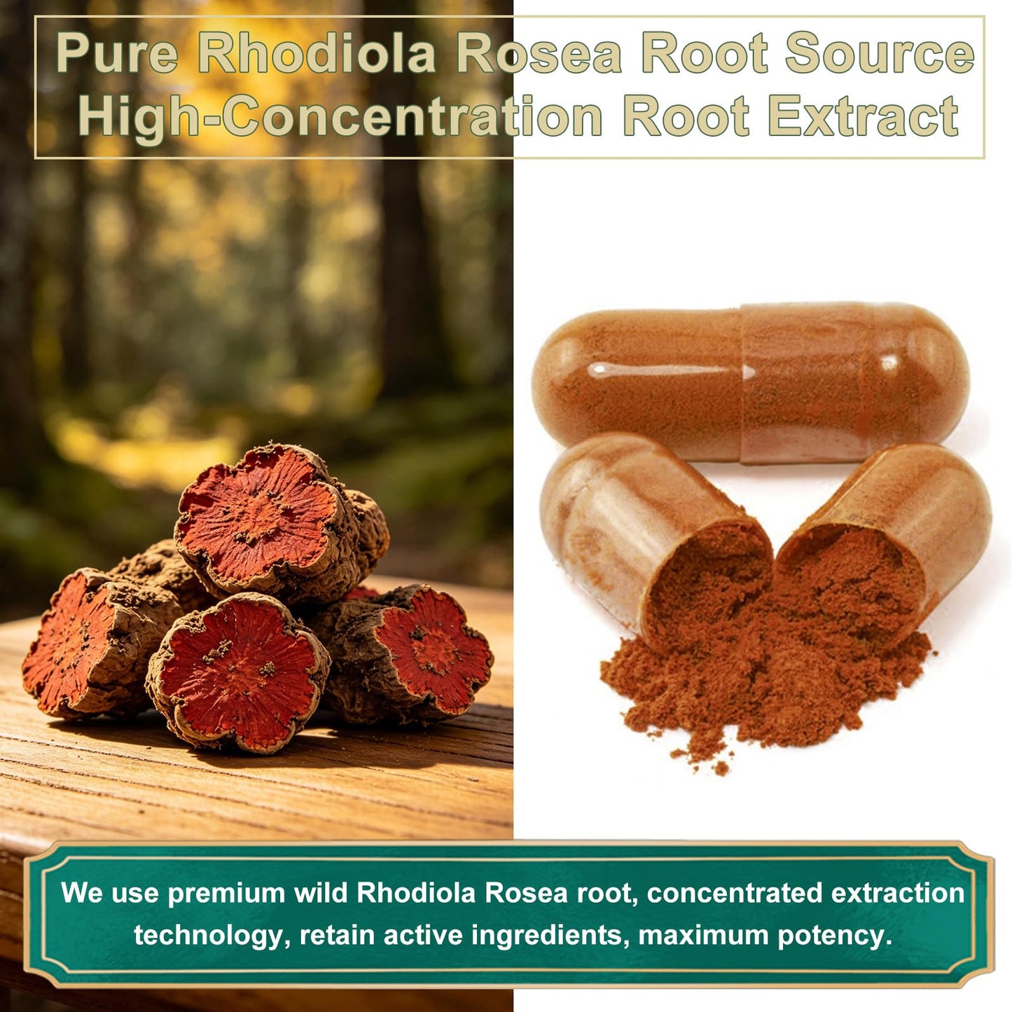 StressXcel Rhodiola Rosea Supplement Capsule, 90 Capsules