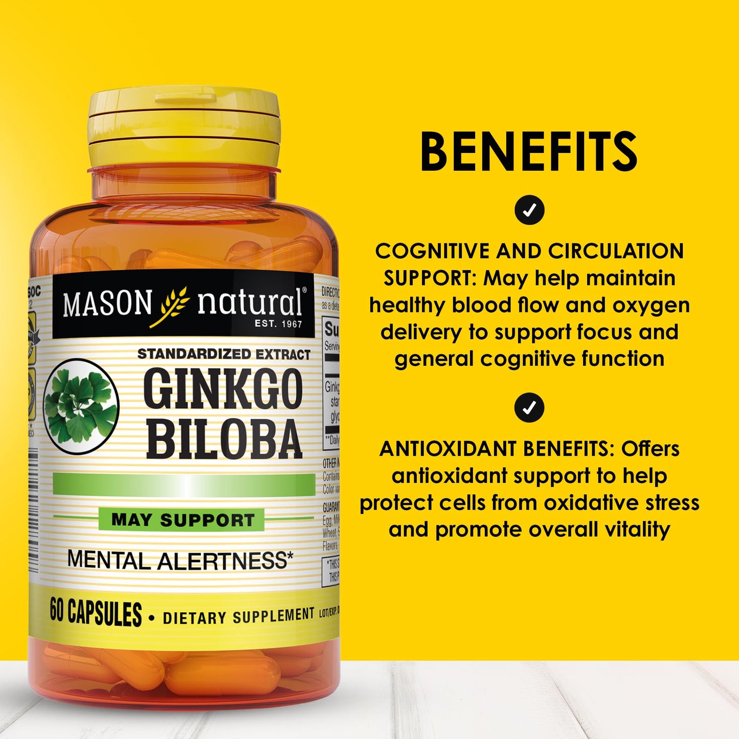 Mason Natural Ginkgo Biloba Capsule, 60 Count