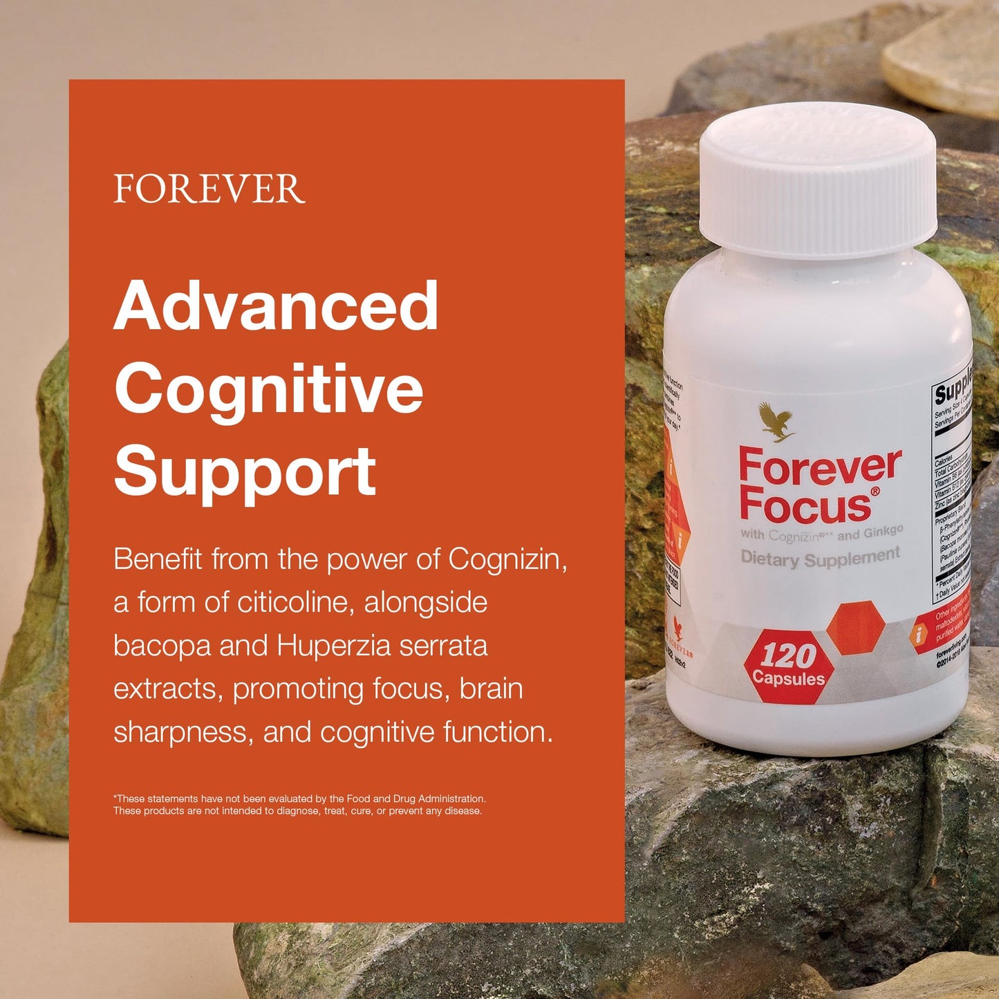 Forever Living Products Forever Focus - Brain Clarity and Focus with Cognizin, Bacopa and Vitamins, 120 Capsules