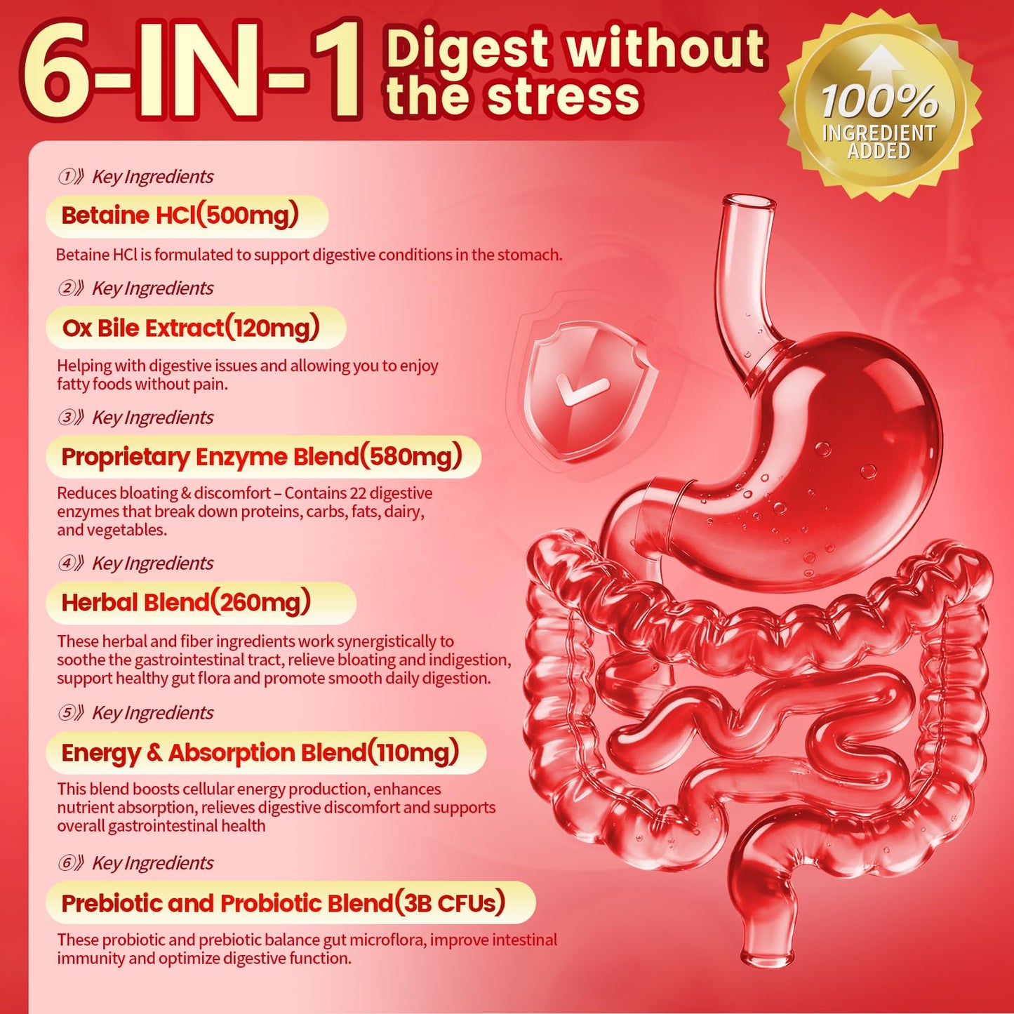 VivoNu Digestive Enzymes, 180 Capsules