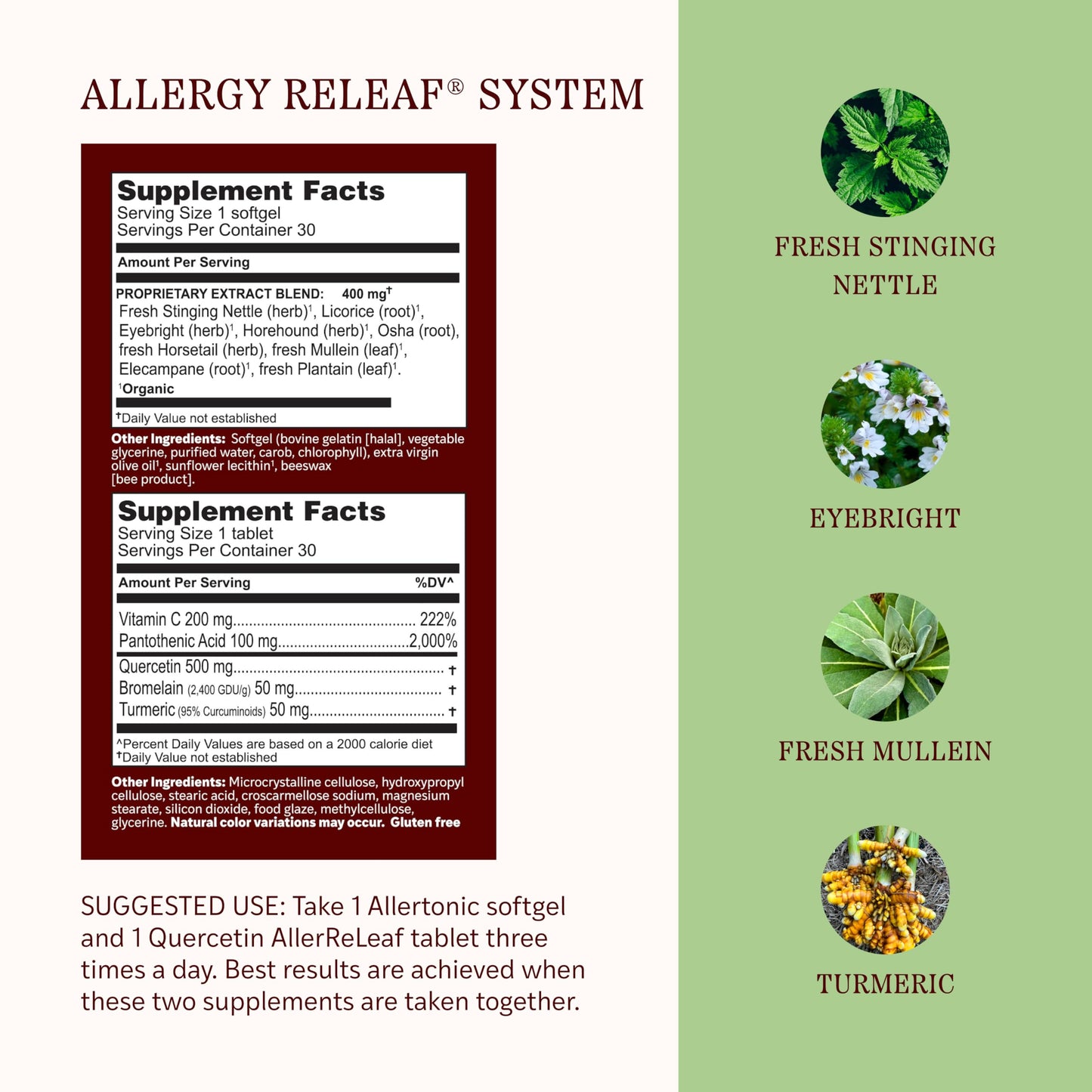 Herbs Etc. Allergy ReLeaf System 30 Tablets