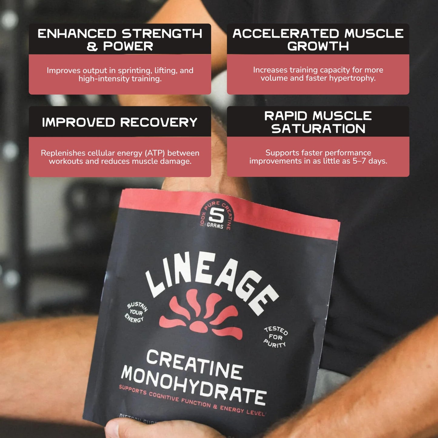 Lineage Provisions Creatine Monohydrate with Sea Salt Powder, 16-Count