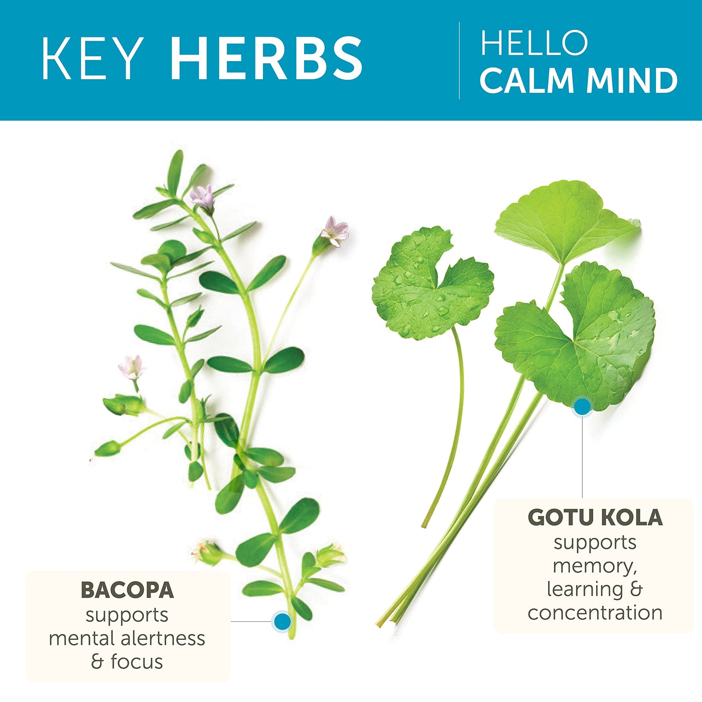 Himalaya Hello Calm Mind Herbal Supplement, 60 Capsules