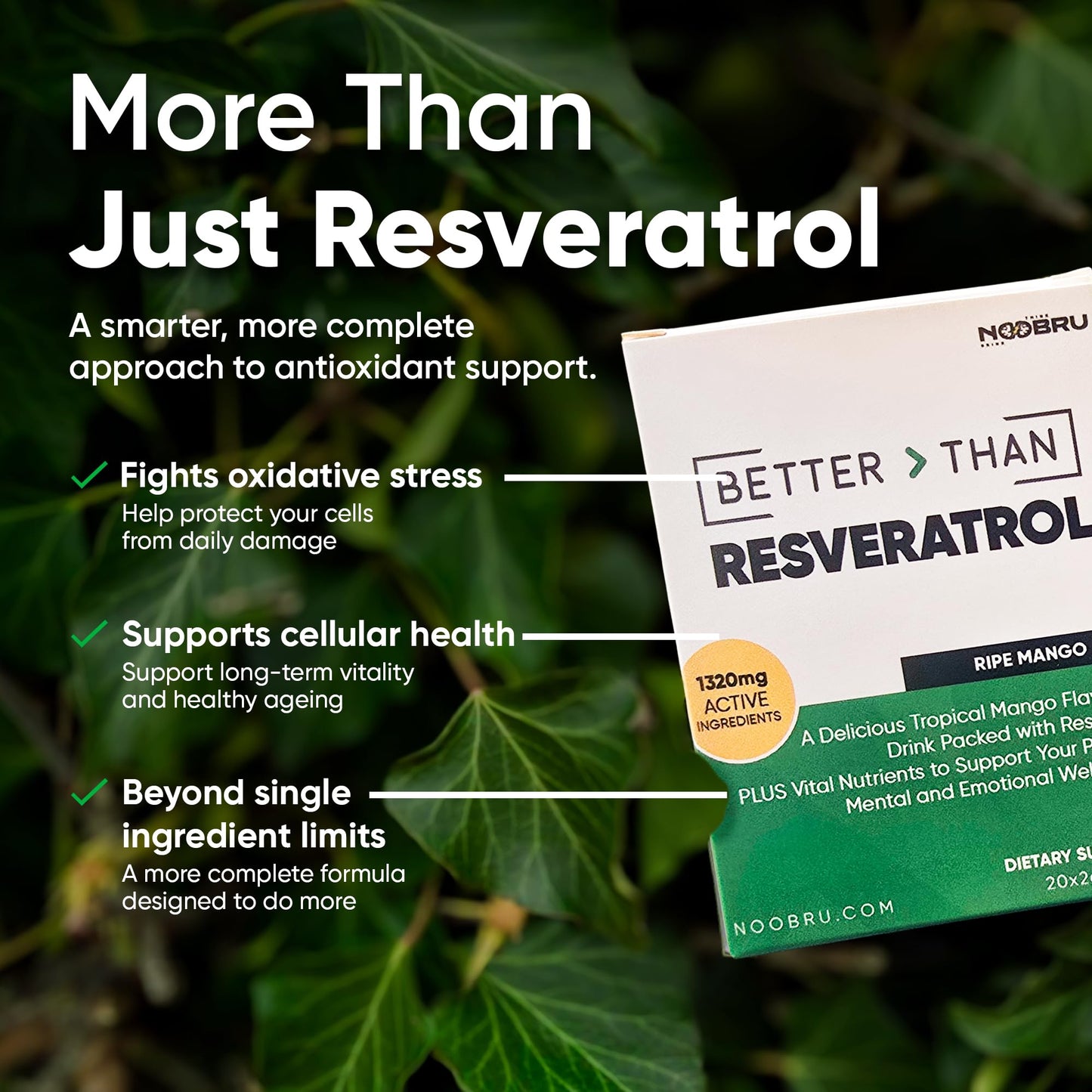 Noobru Resveratrol Powder 1.41 Ounce