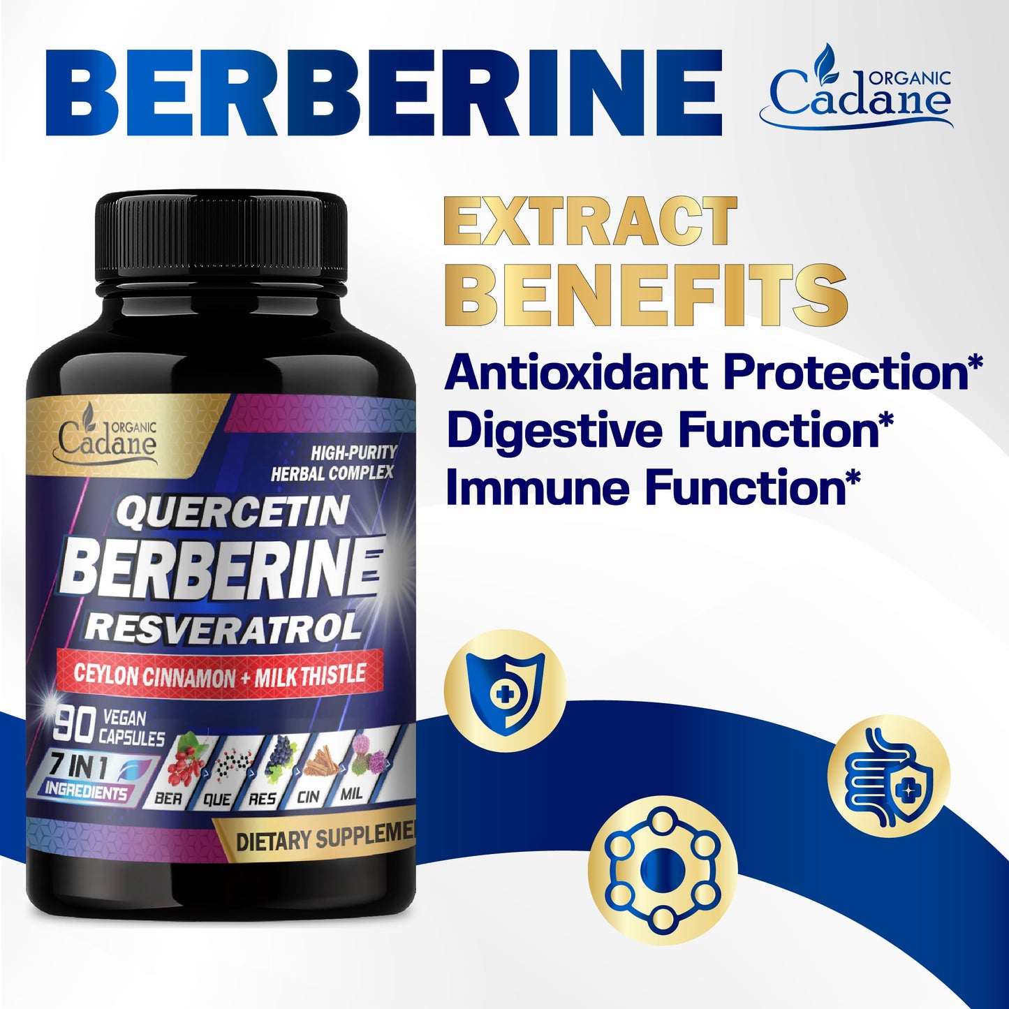 Organic Cadane Berberine Supplement 7-in-1 Capsule, 90 Count