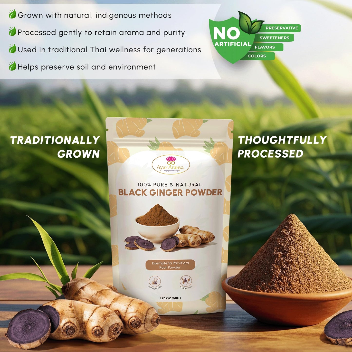 Mountain Essentials Ayur Aranya 100% Pure Black Ginger Powder 1.76 Ounce
