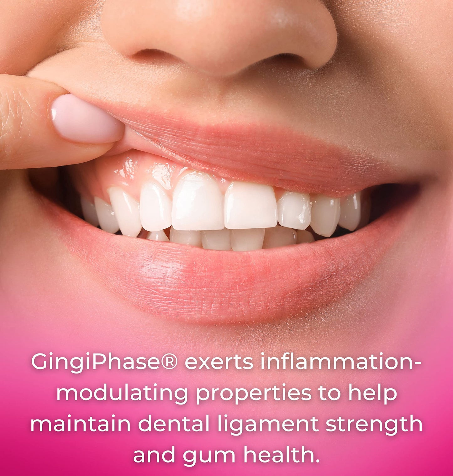 Tango GingiPhase Natural Herbal Dental Support Supplement for Healthy Gums, Teeth, and Jaw Circulation, 120 Capsules