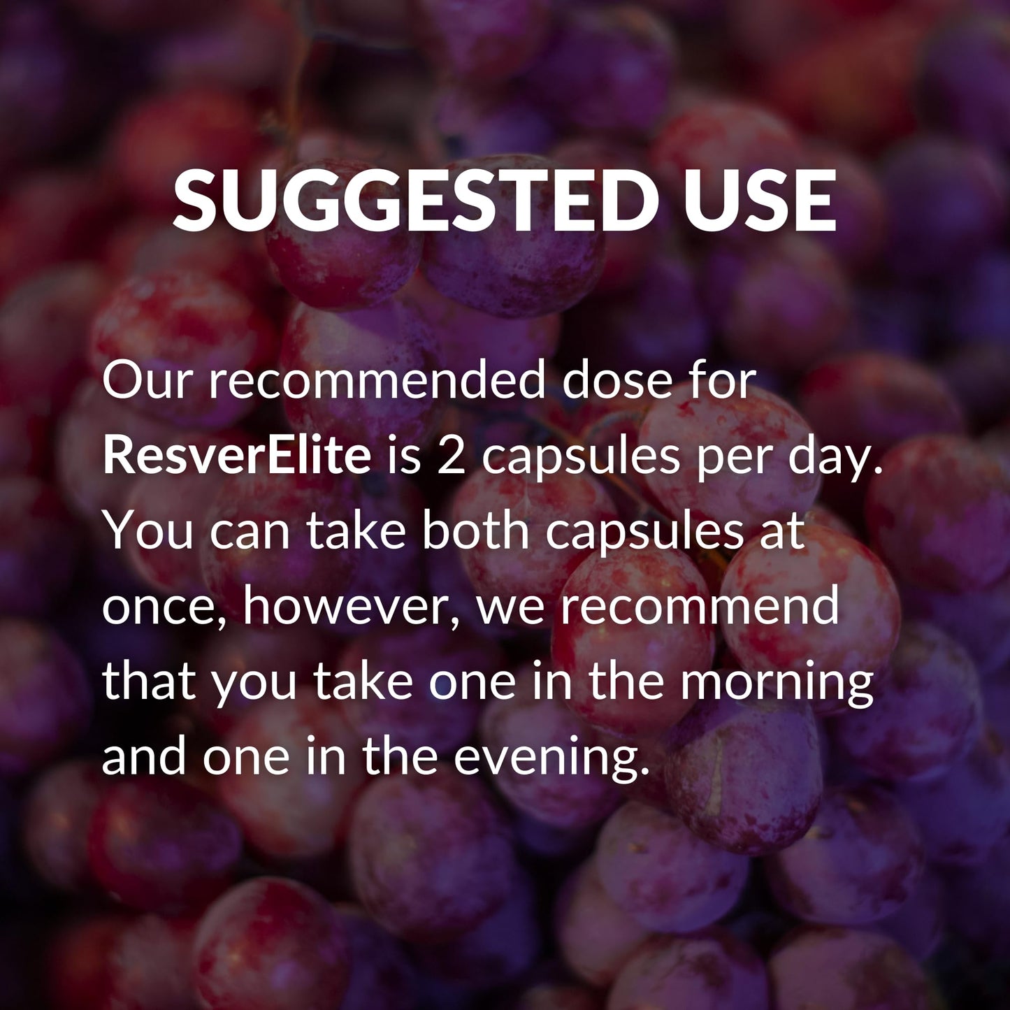 BrocElite ResverElite Capsule 60 Count