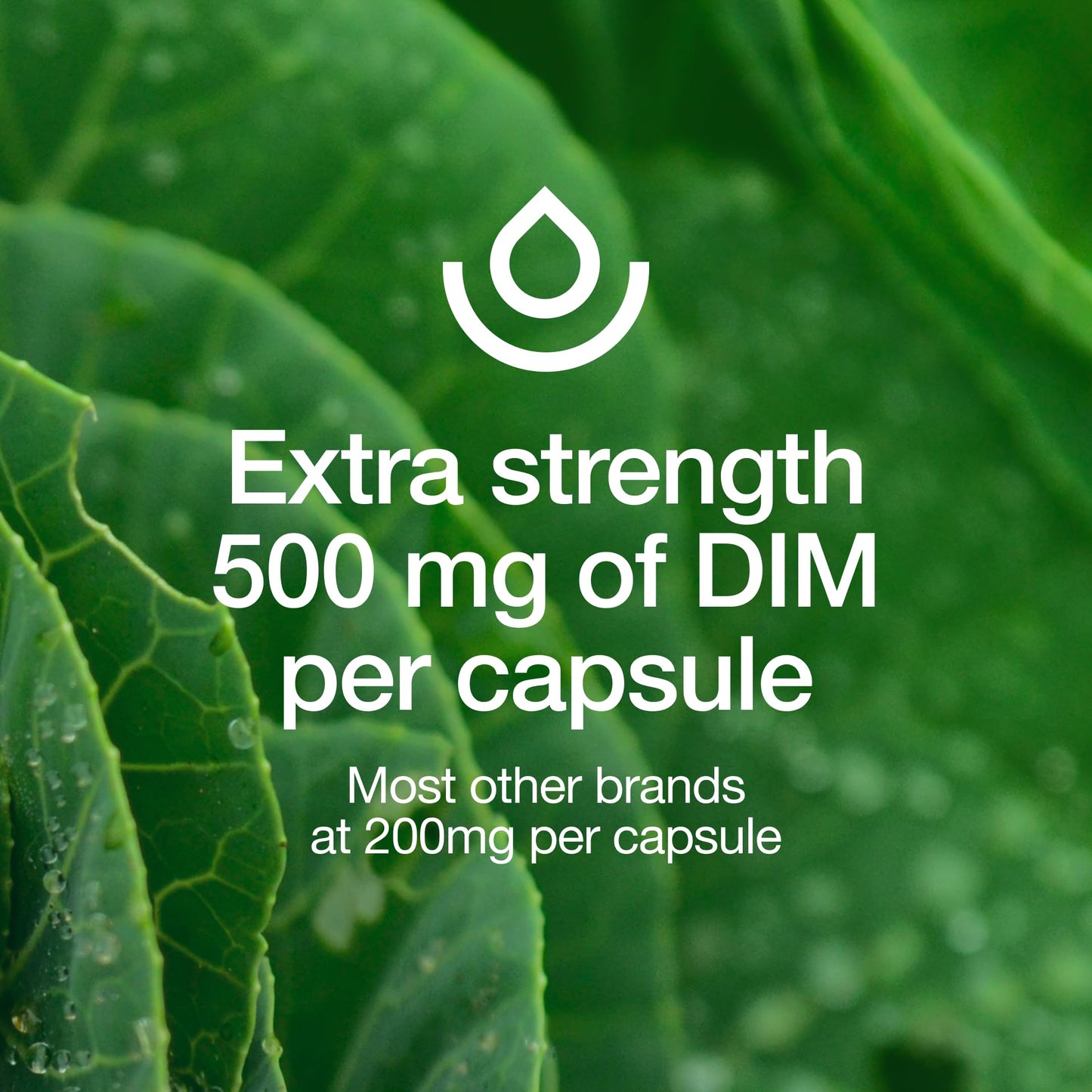 Fresh Nutrition DIM Supplement 500mg Diindolylmethane, 90 Capsules