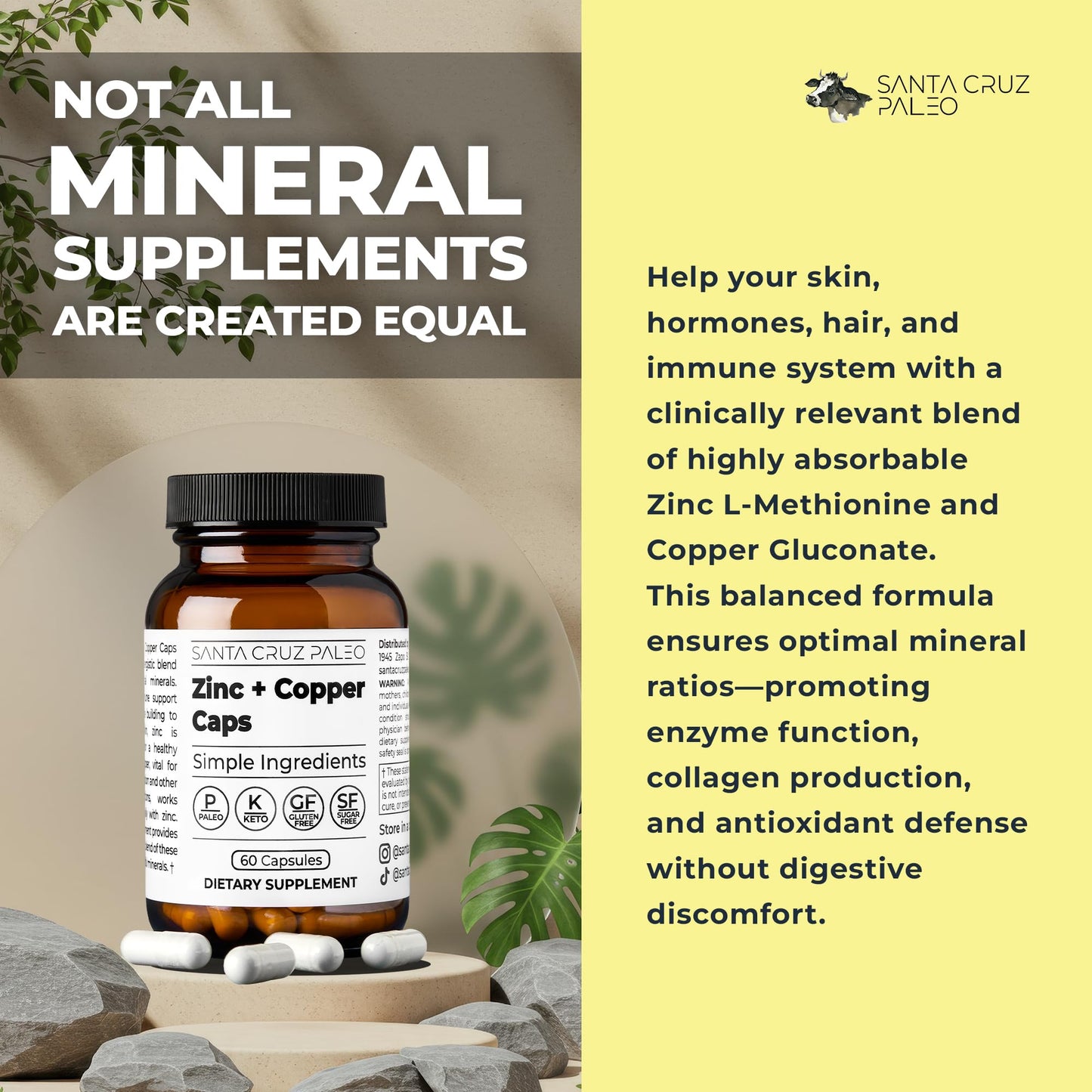 Santa Cruz Paleo Zinc & Copper Mineral Supplement Capsule, 60 Capsules