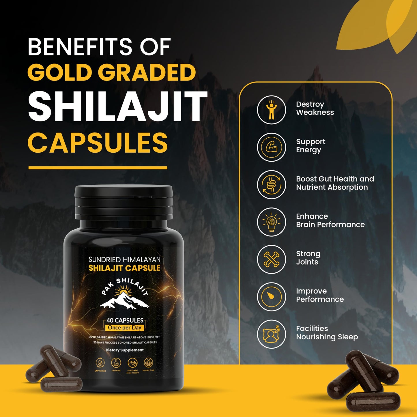 PakShilajit Himalayan Shilajit Capsules 40 Capsules