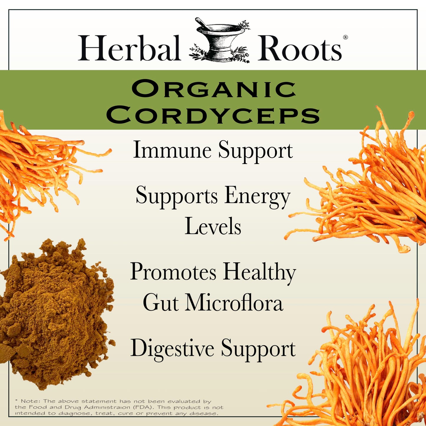Herbal Roots Cordyceps Fruiting Body Extract Mushroom Capsules 60 Capsules