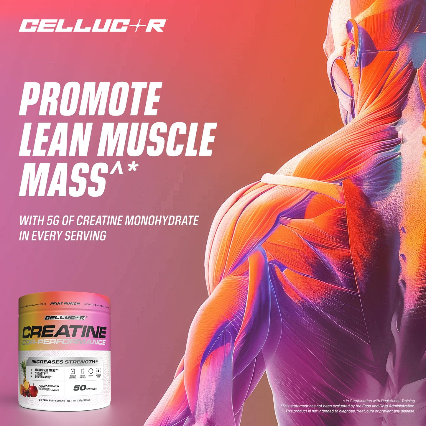 Cellucor Creatine Powder 11.5 Ounce