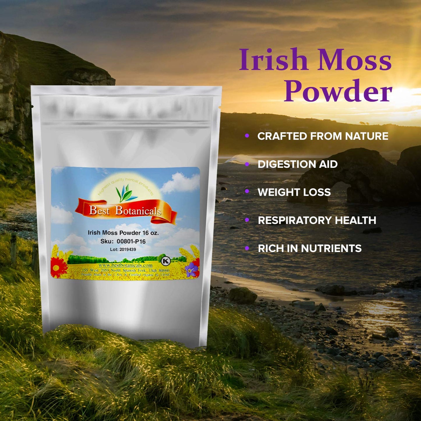 Best Botanicals Irish Moss Powder 16 oz