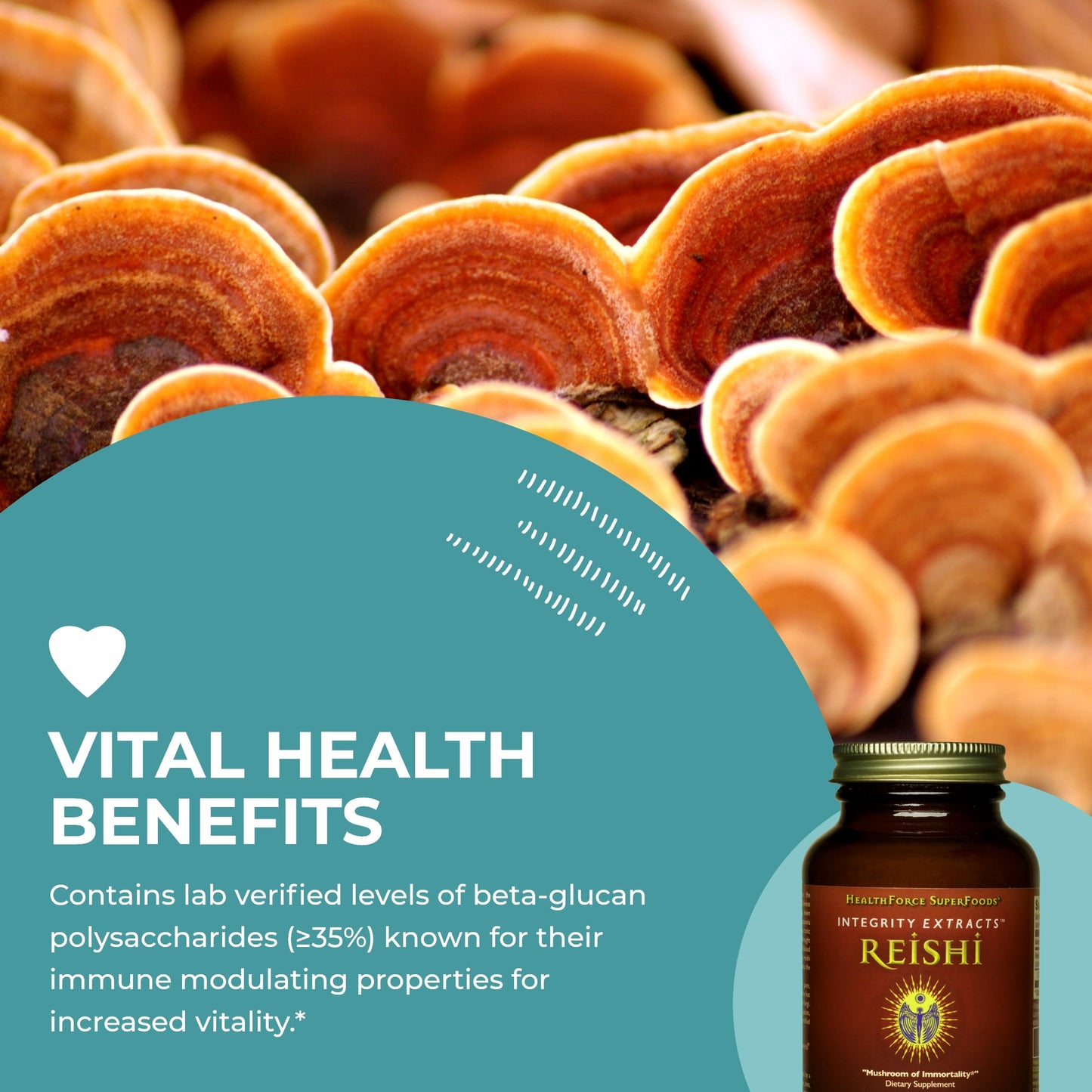 HEALTHFORCE SUPERFOODS Integrity Extracts Reishi Powder 2.2928