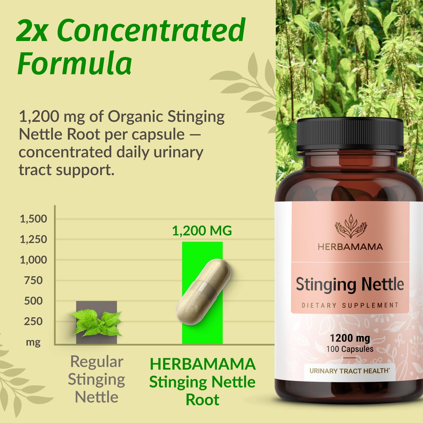 HERBAMAMA Stinging Nettle Capsules 1200mg Root Extract for Urinary Tract Support, Vegan, Non-GMO, 100 Count
