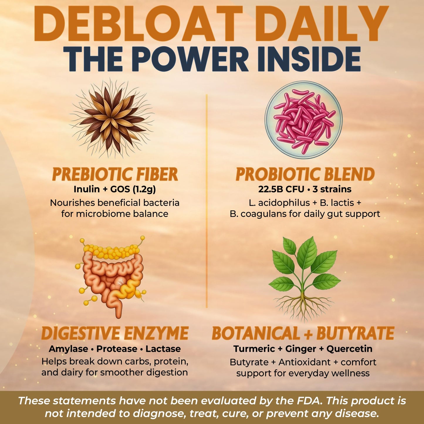 OMNICOAST GOODS Debloat Daily 3-in-1 Prebiotic, Probiotic & Digestive Enzyme Gummies, 2 Pack