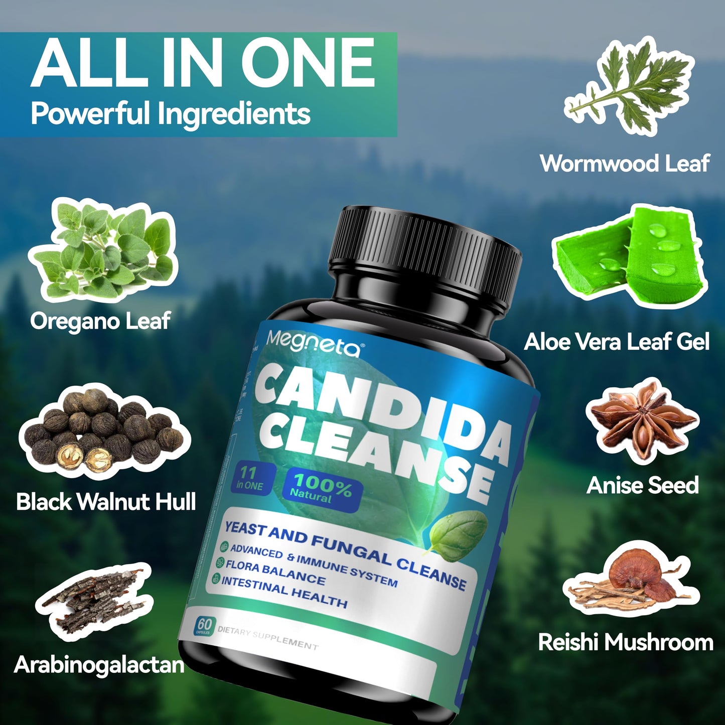 MEGNETA Candida Cleanse Supplement Capsule, 60 Capsules
