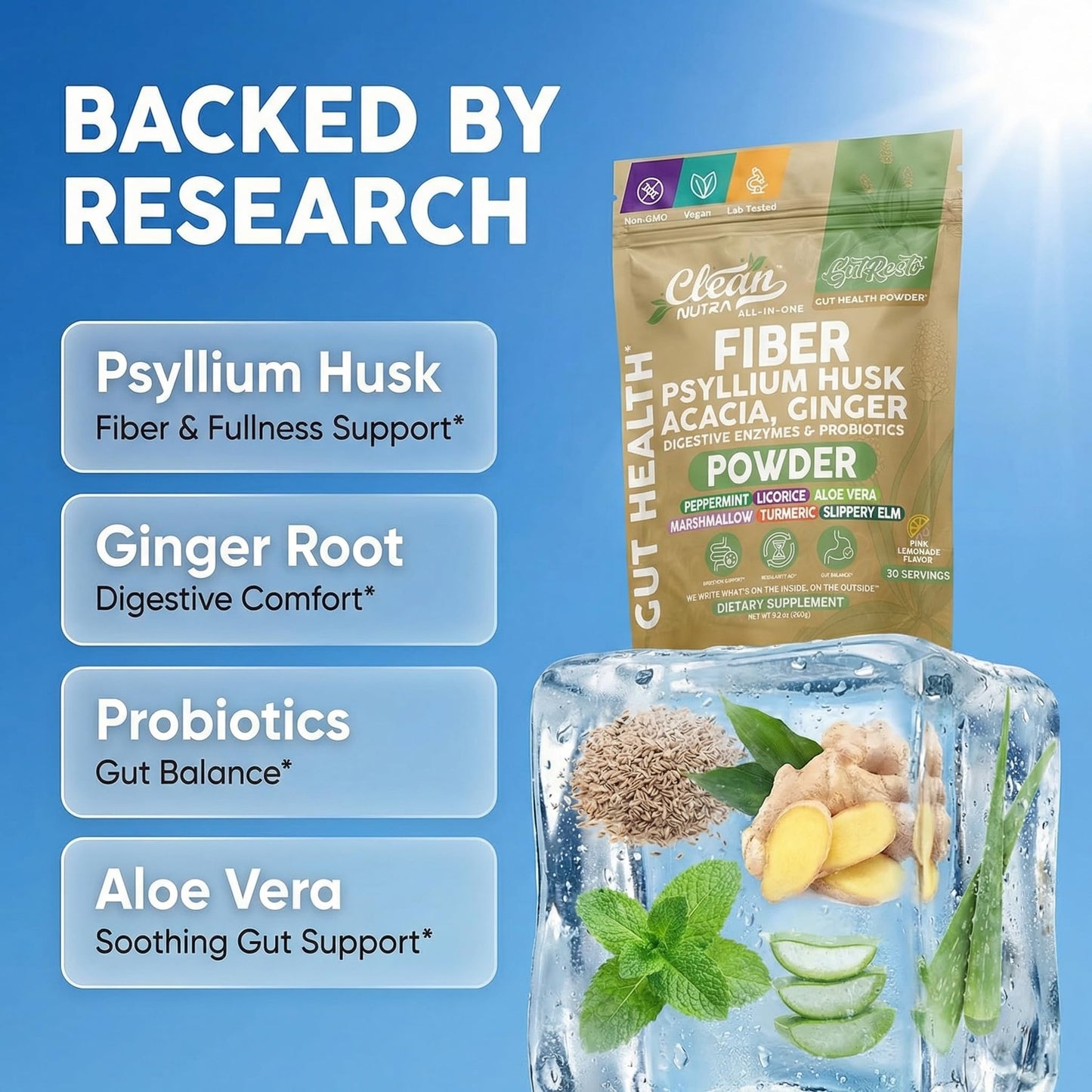 Clean Nutraceuticals GutResto Fiber Supplement Powder, 6.7