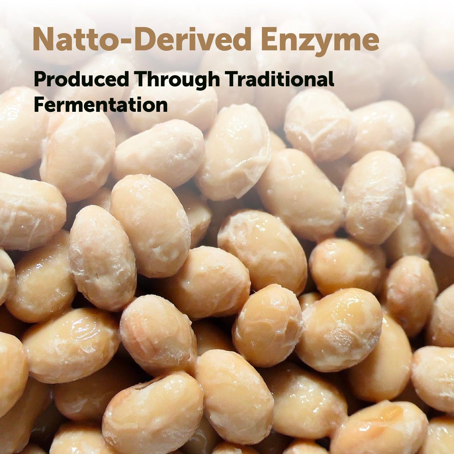 Micro Ingredients Nattokinase 10,000 FU Per Serving (Natural Natto Extract) Capsules, 240 Count
