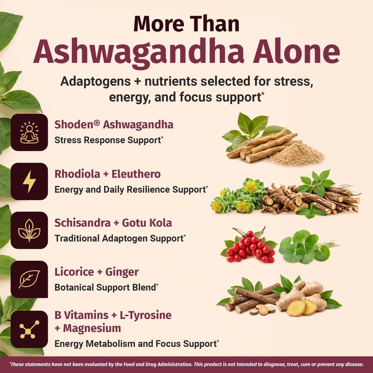 1 Body Adrenal Support Complex with Ashwagandha & Adaptogens Capsules, 180 Count