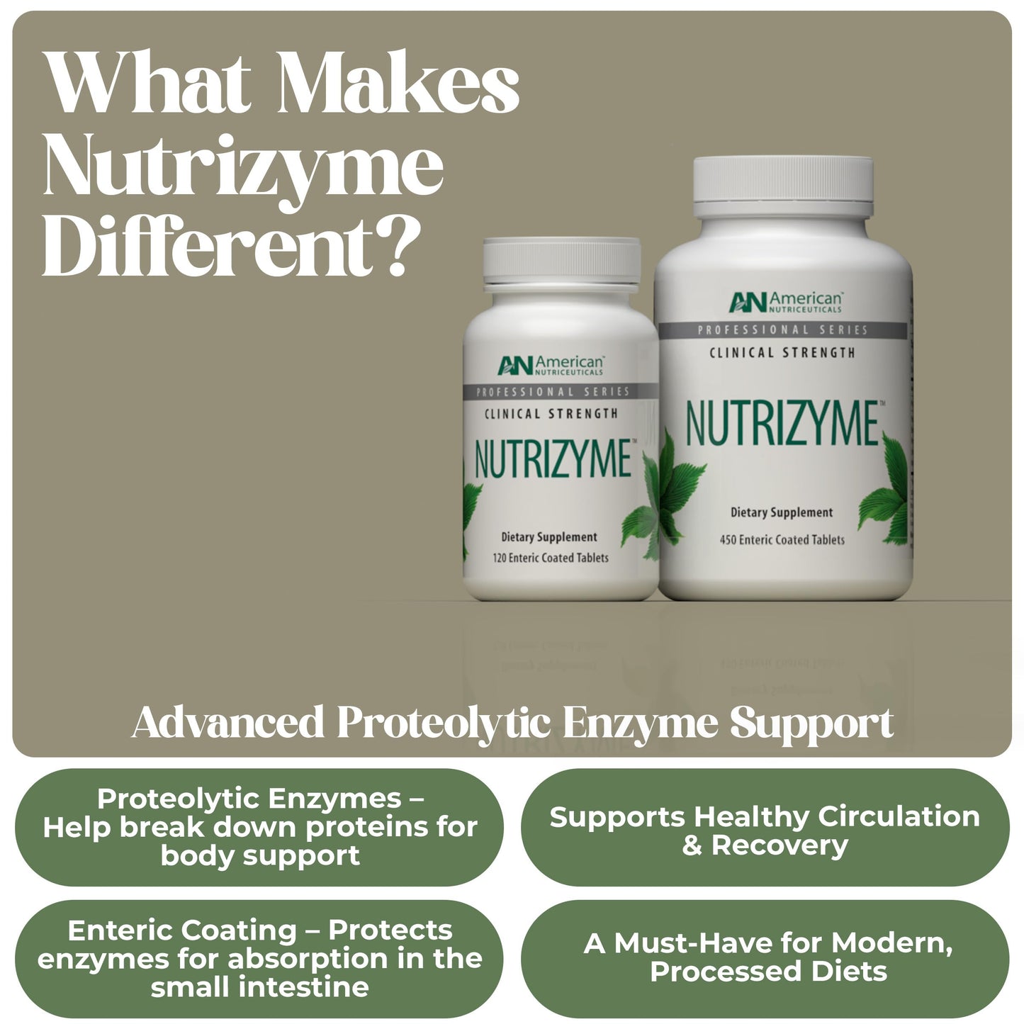 American Nutriceuticals Nutrizyme Proteolytic Enzymes 450 Tablets