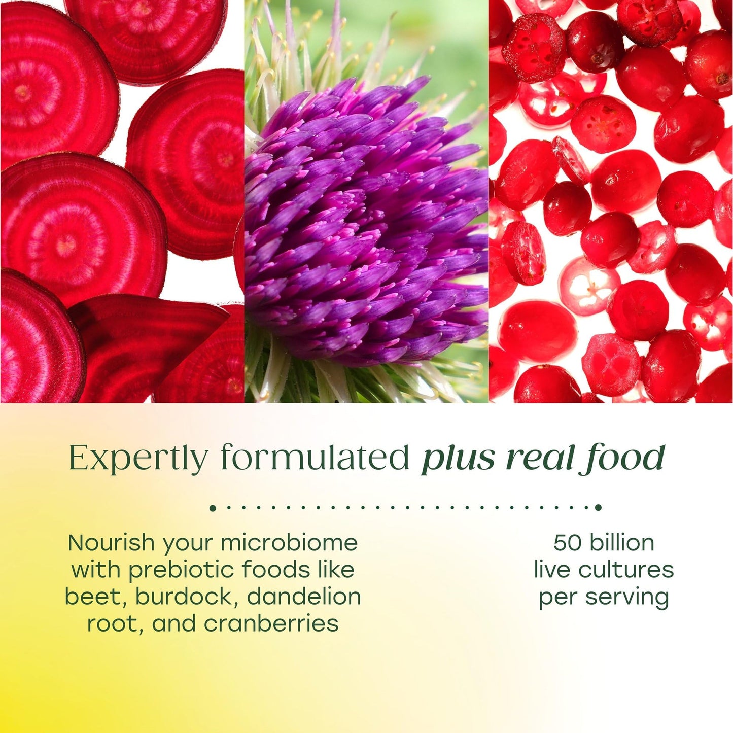 MegaFood MegaFlora Probiotics and Prebiotics for Women 60 Capsules