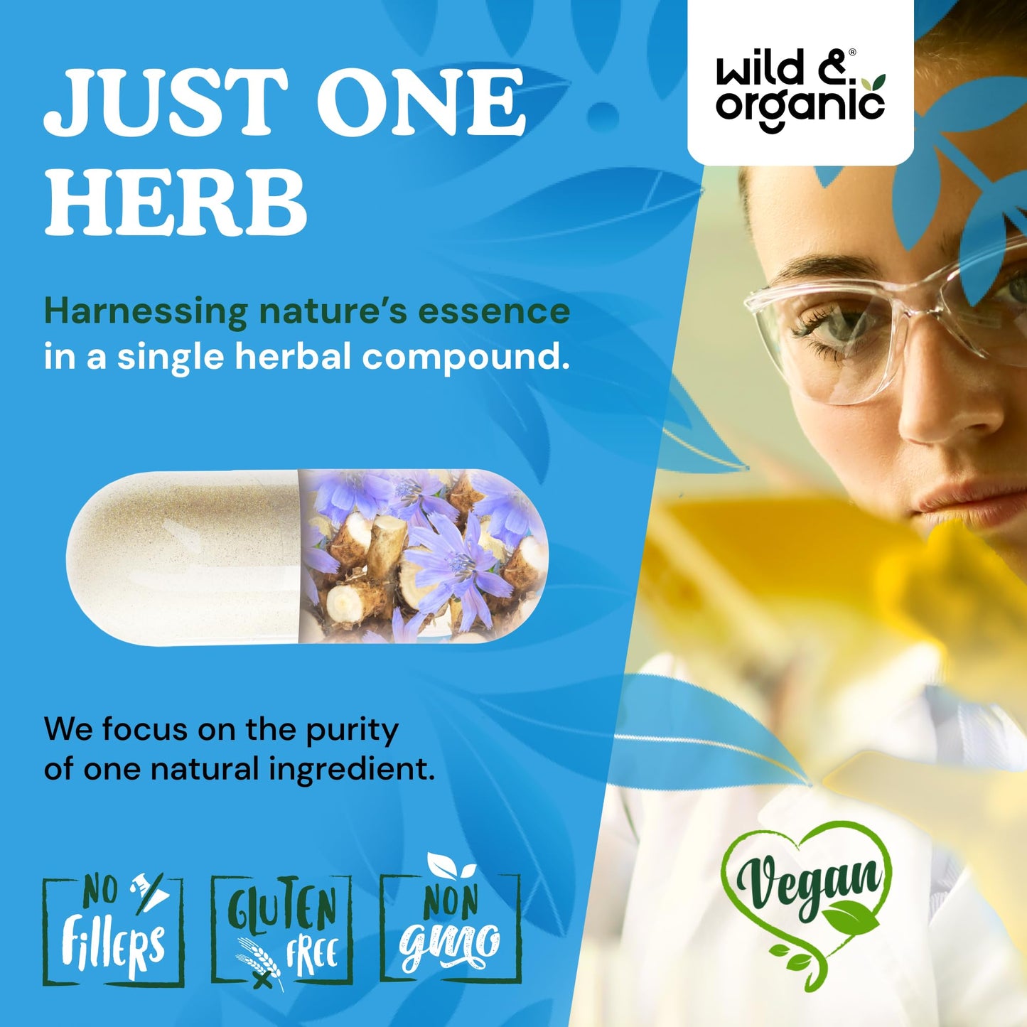 Wild & Organic Inulin Capsules 1400 mg, 90 Count