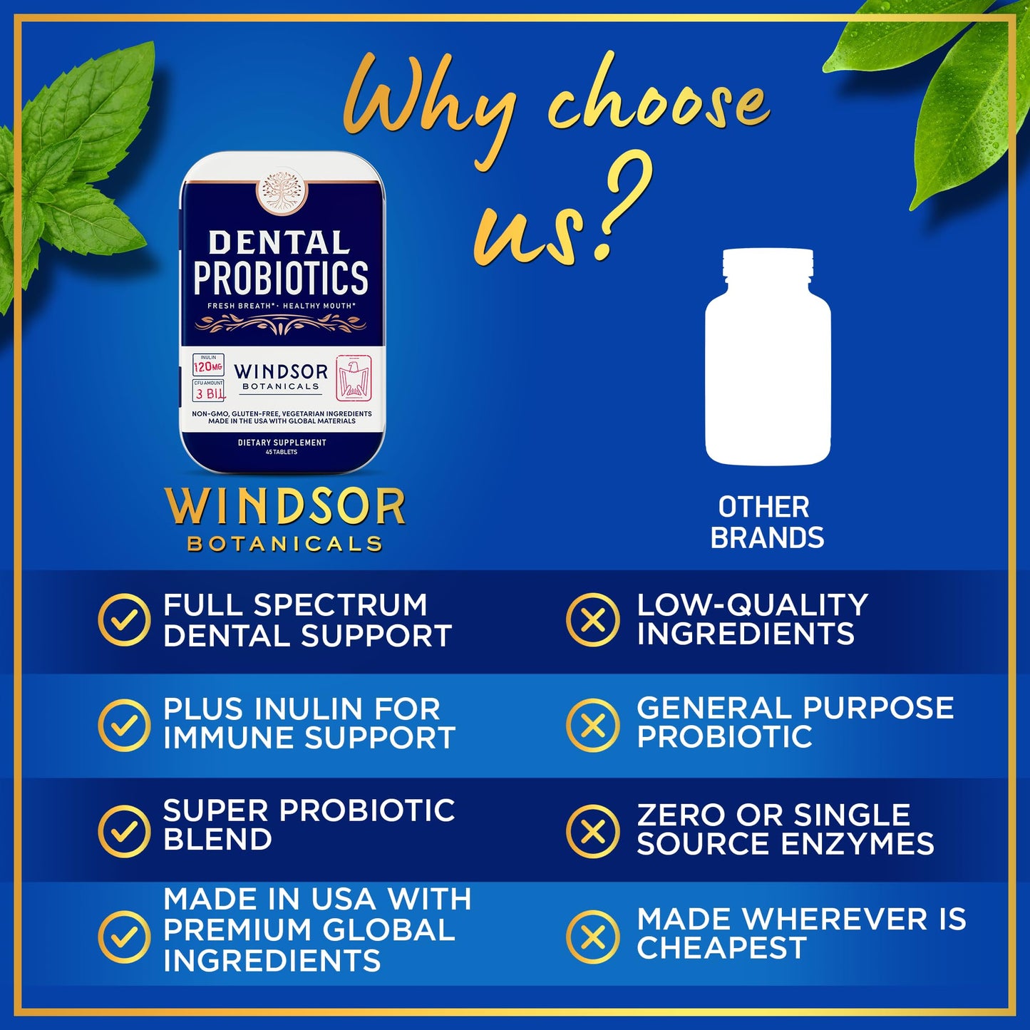 WINDSOR BOTANICALS Dental Probiotics for Teeth and Gums, 3BN CFU Lactobacillus Salivarius Acidophilus Tablets, 270 Chewable Tablets