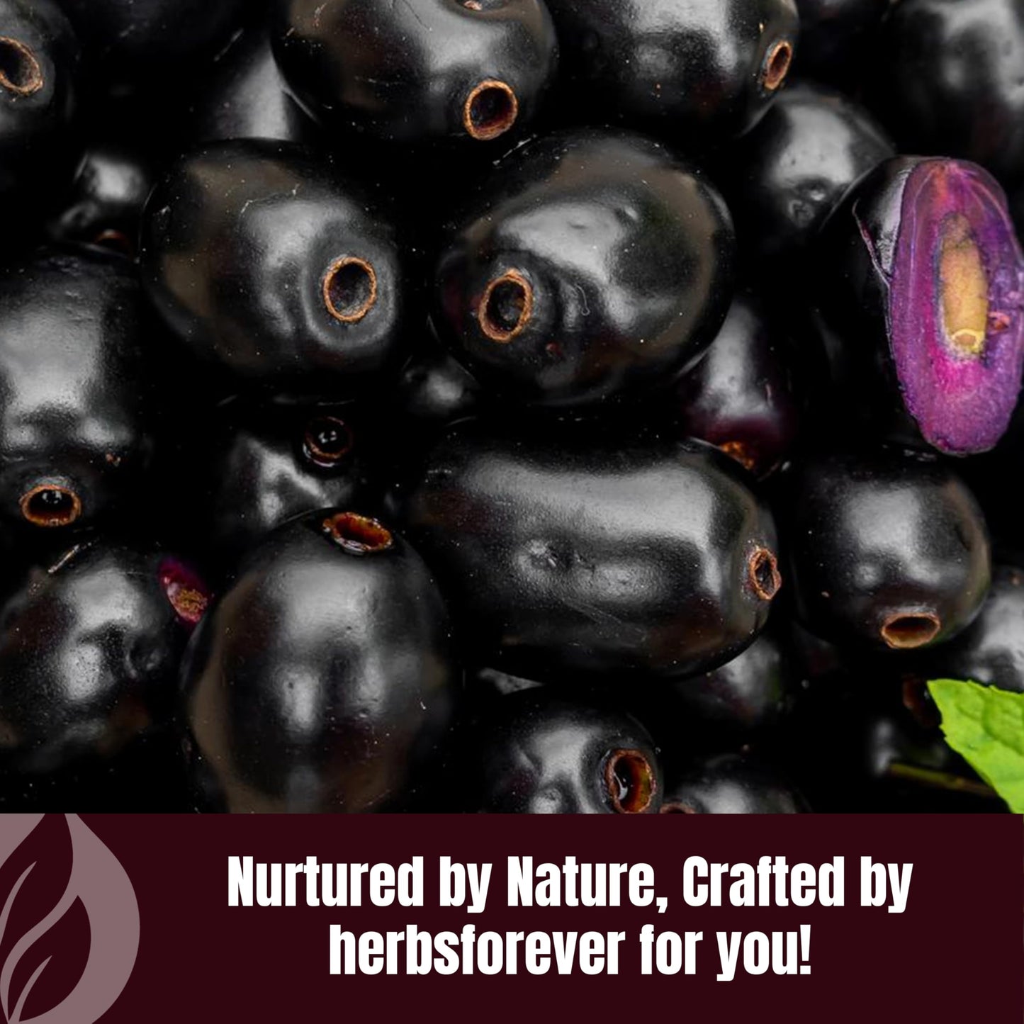 Herbsforever Jambul Java Plum Powder 8.11 Ounce