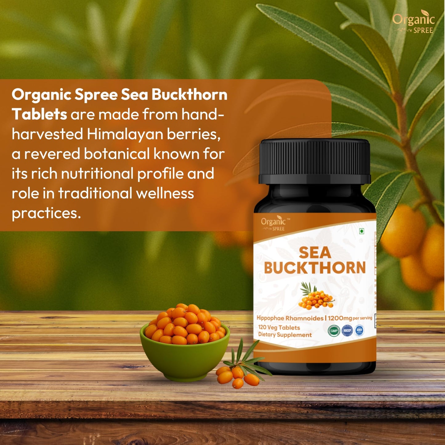 ORGANIC SPREE Sea Buckthorn 120 Tablets, 360 Tablets