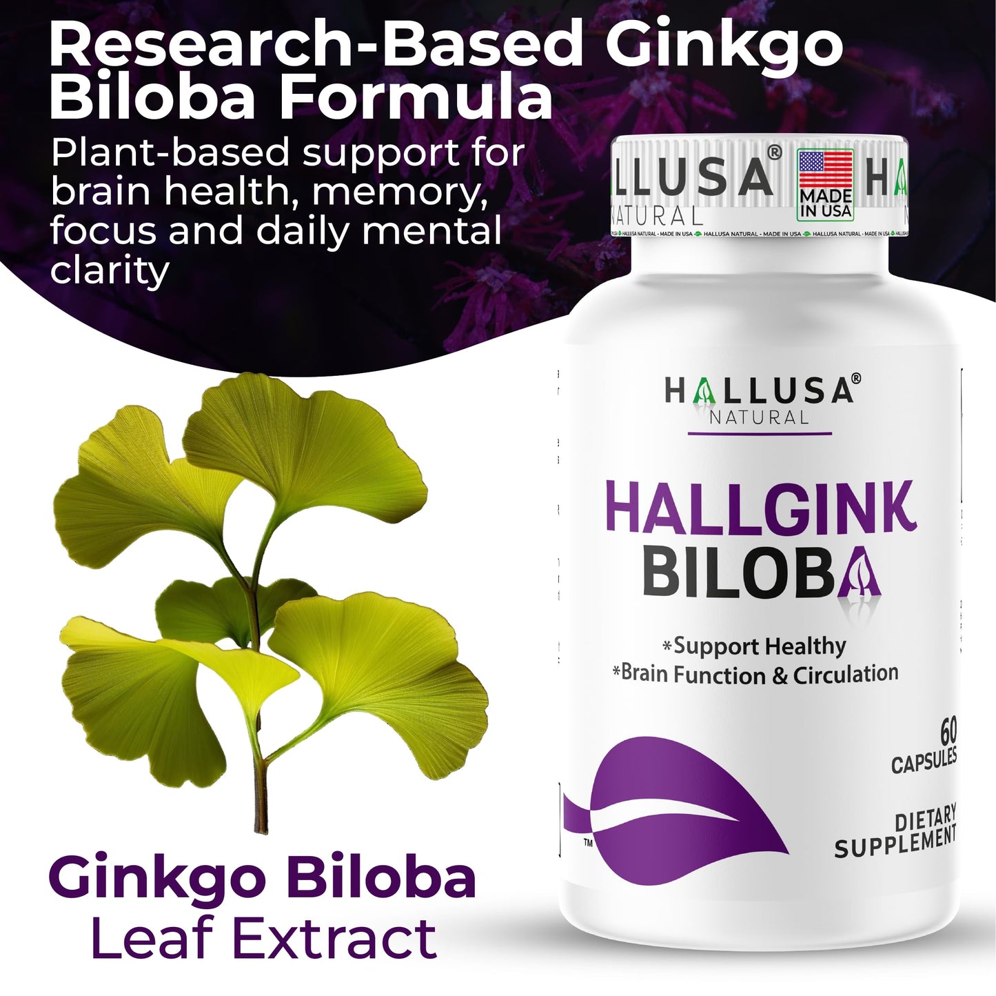 Ginkgo Biloba 24% 120 mg Capsules, 60 Count