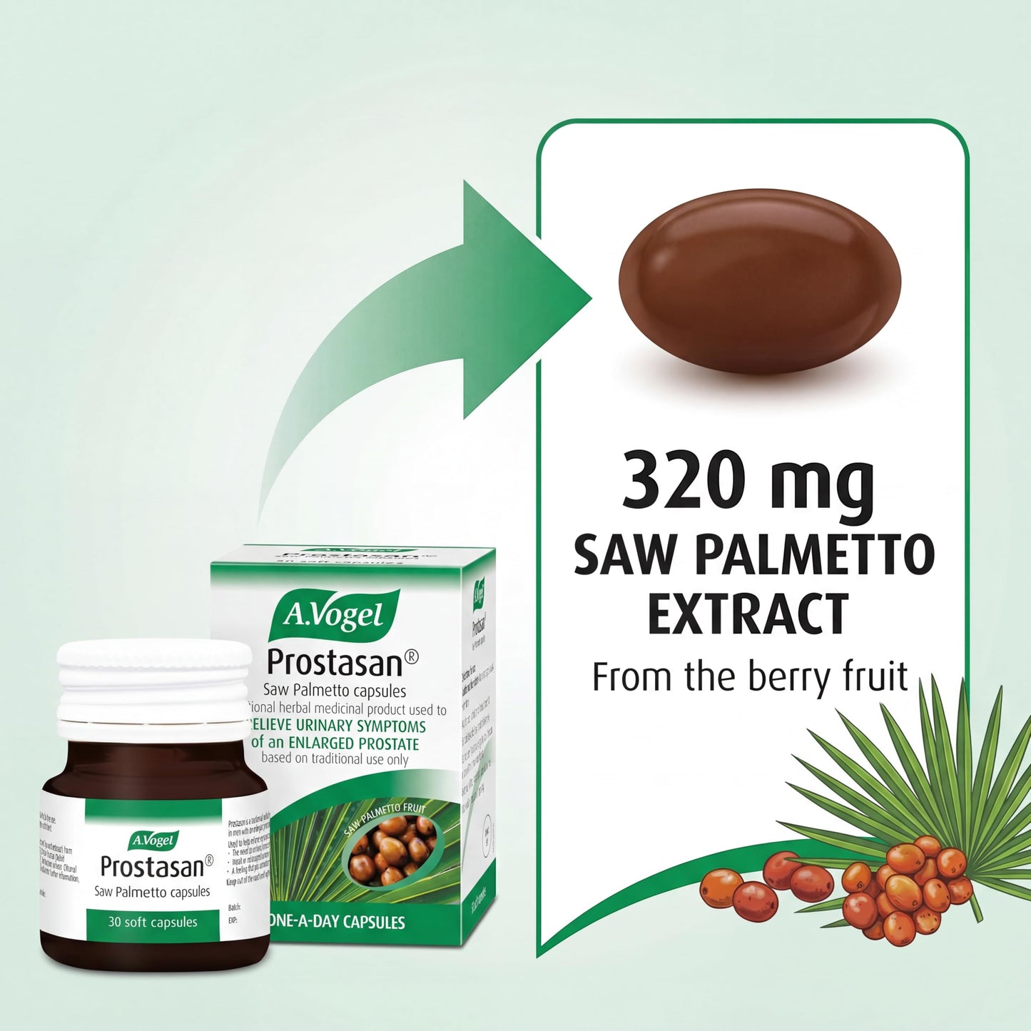 A.Vogel Prostasan Saw Palmetto Capsules, 1 Count