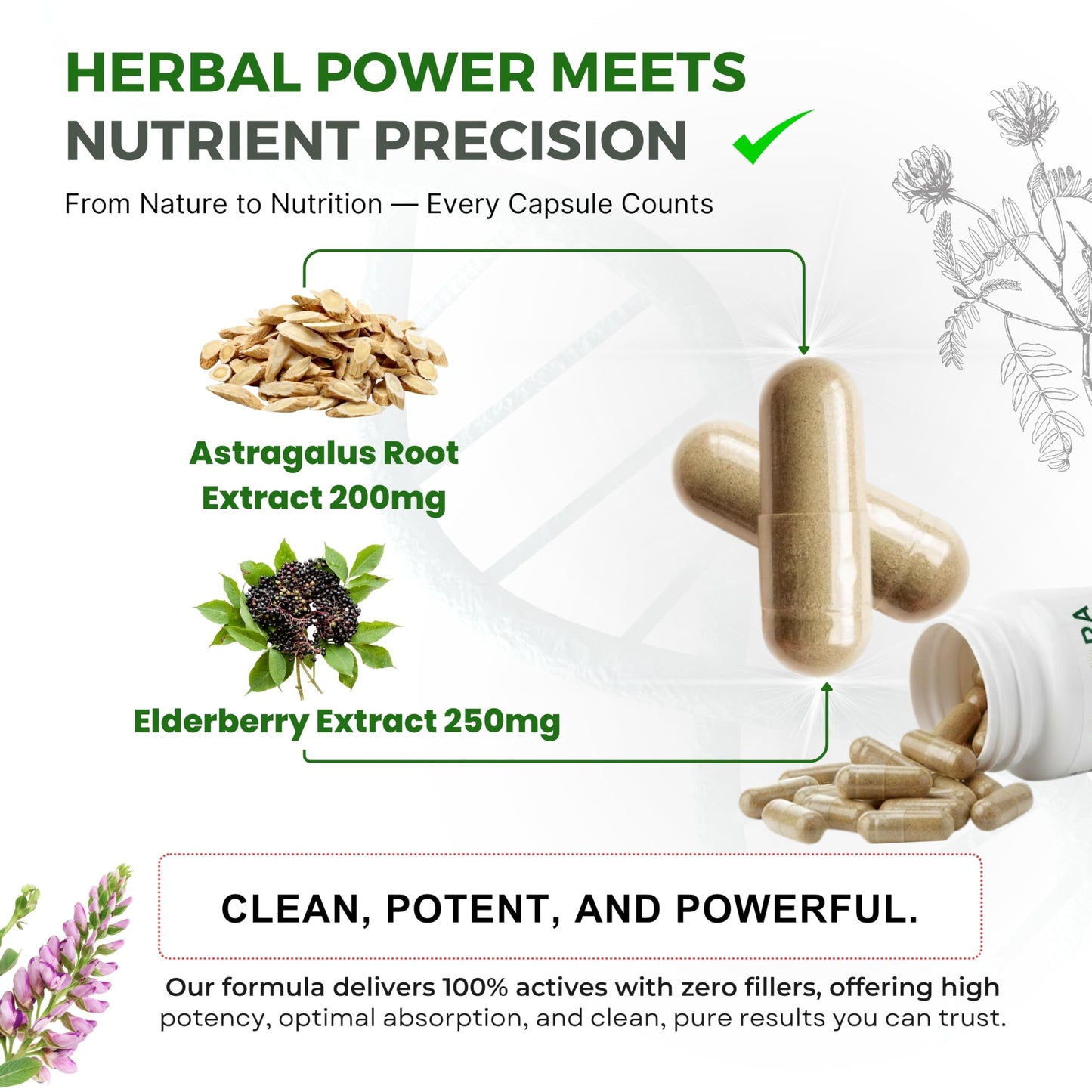 VEYORA Astragalus Complex 1000 mg Capsule, 60 Count