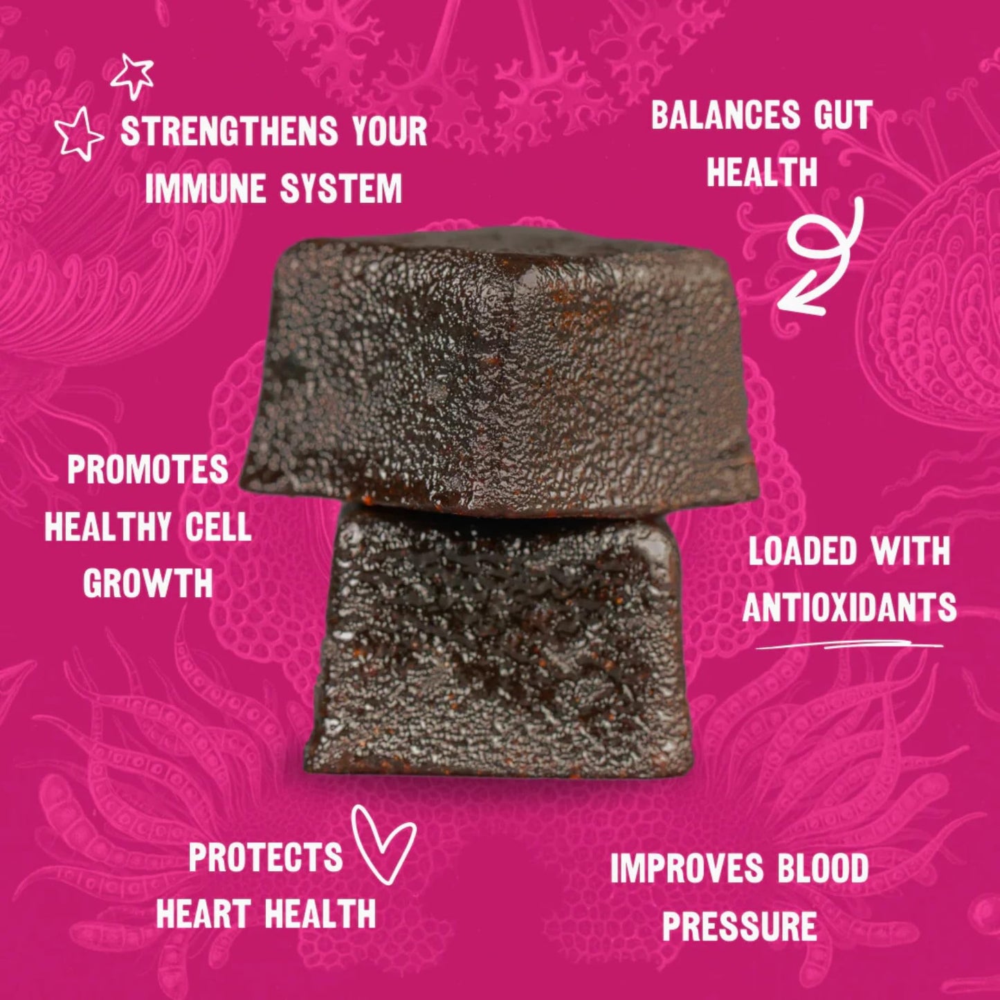 OH MY FUNGI GUMMIES Mushroom Supplement Gummies for Immunity – Reishi, Turkey Tail, Chaga, Zinc, D3 – Vegan Gummy for Healthy Immune Support - Elderberry Blueberry Flavor, 60 Count