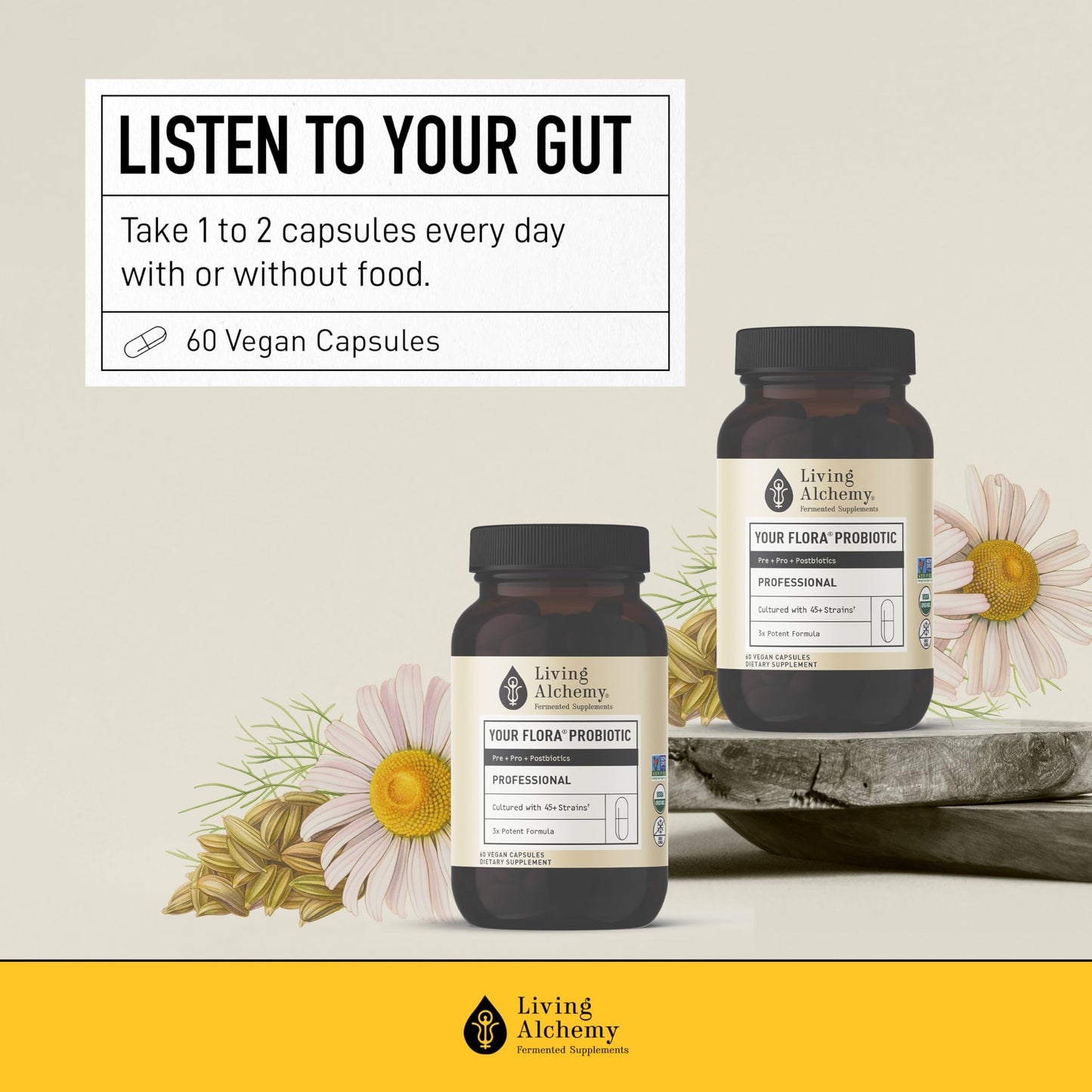 Living Alchemy Gut Health Probiotic Capsules 60 Count