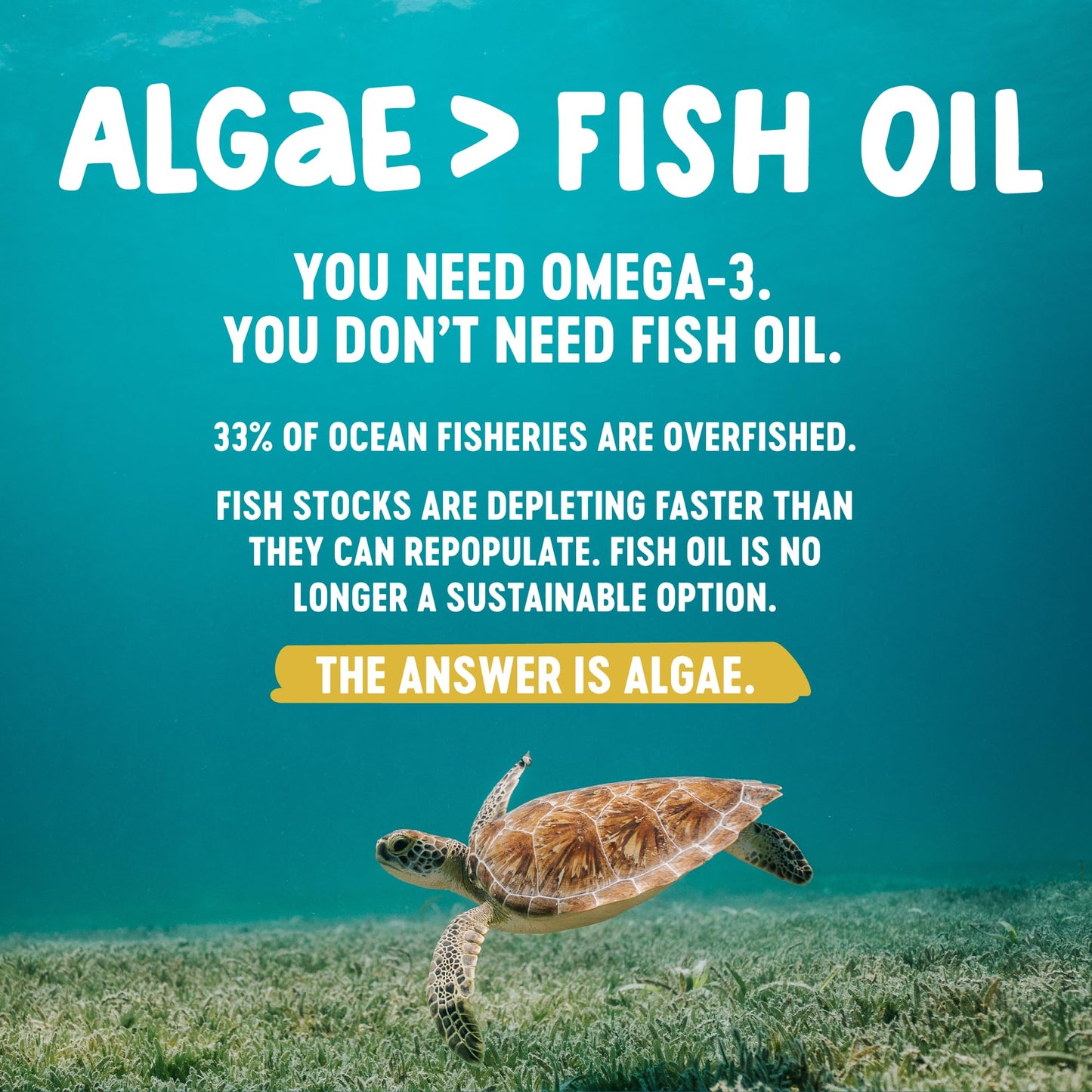 Freshfield Omega 3 DHA Softgels 60 Count