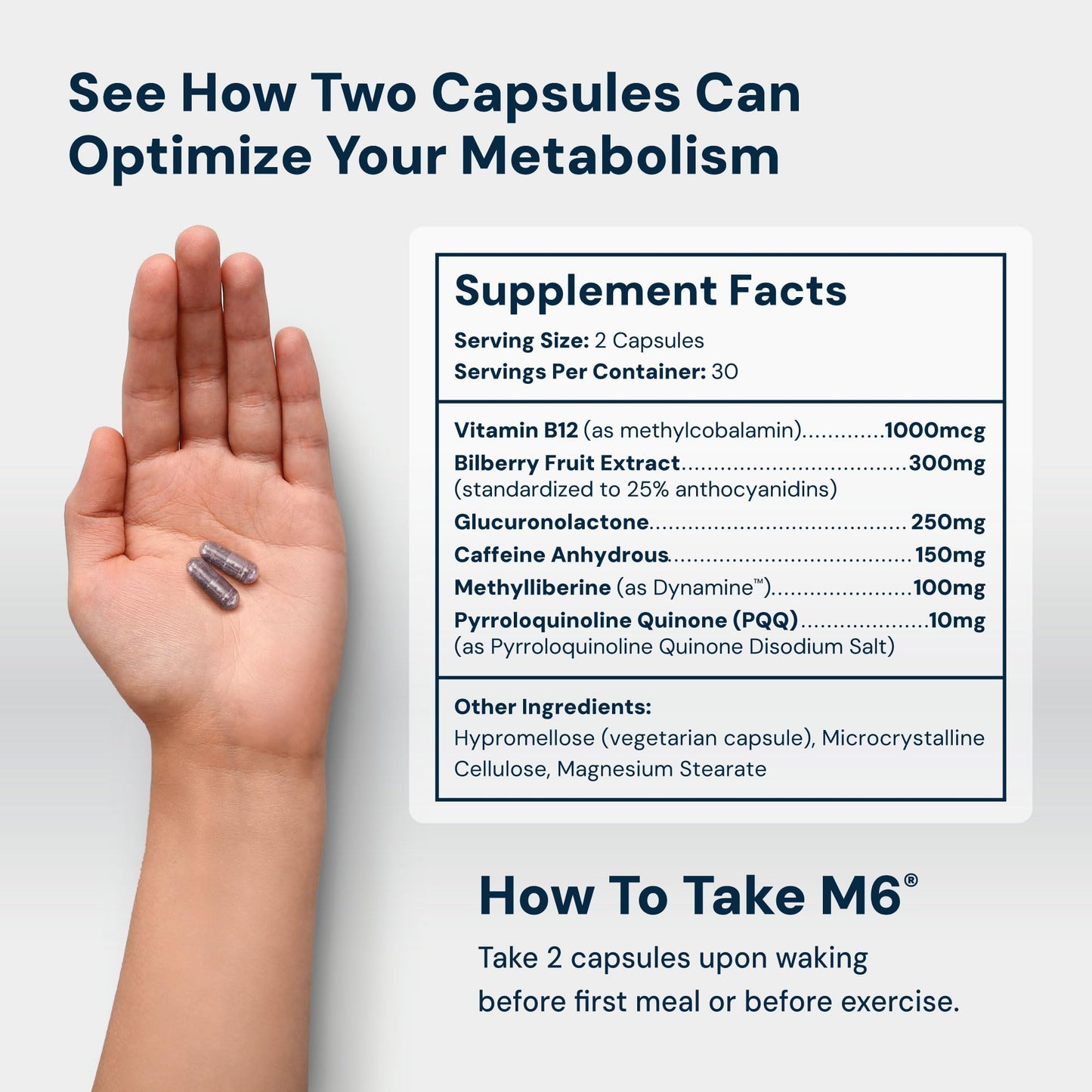 HPN Metabolism Booster Fat Burner Capsule 60 Capsules