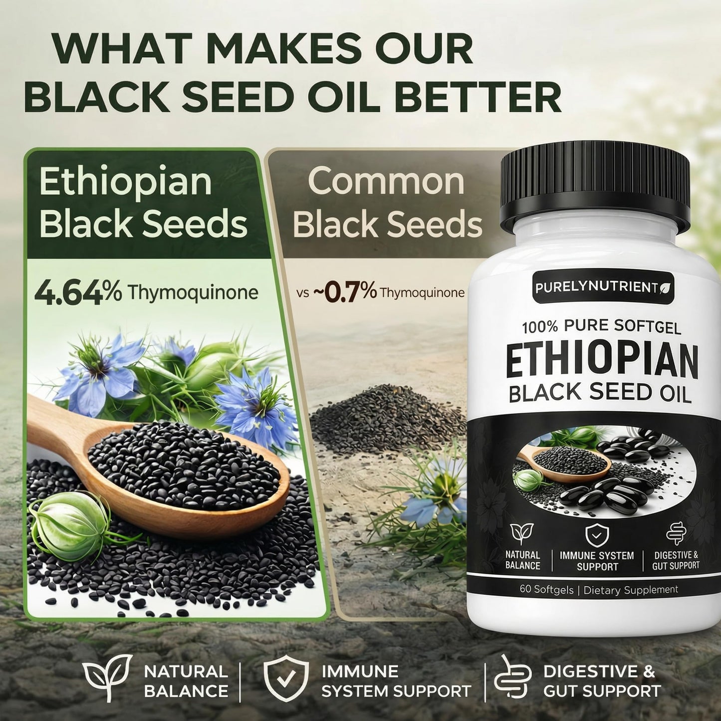 PURELYNUTRIENT Ethiopian Black Seed Oil Softgels, 60 Count