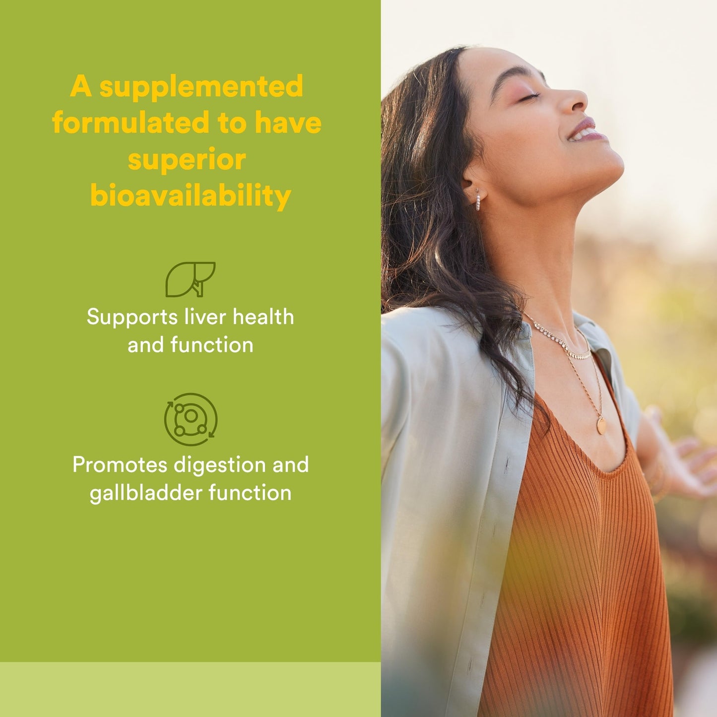 Natural Factors Milk Thistle Phytosome with Dandelion and Turmeric 90 Capsules