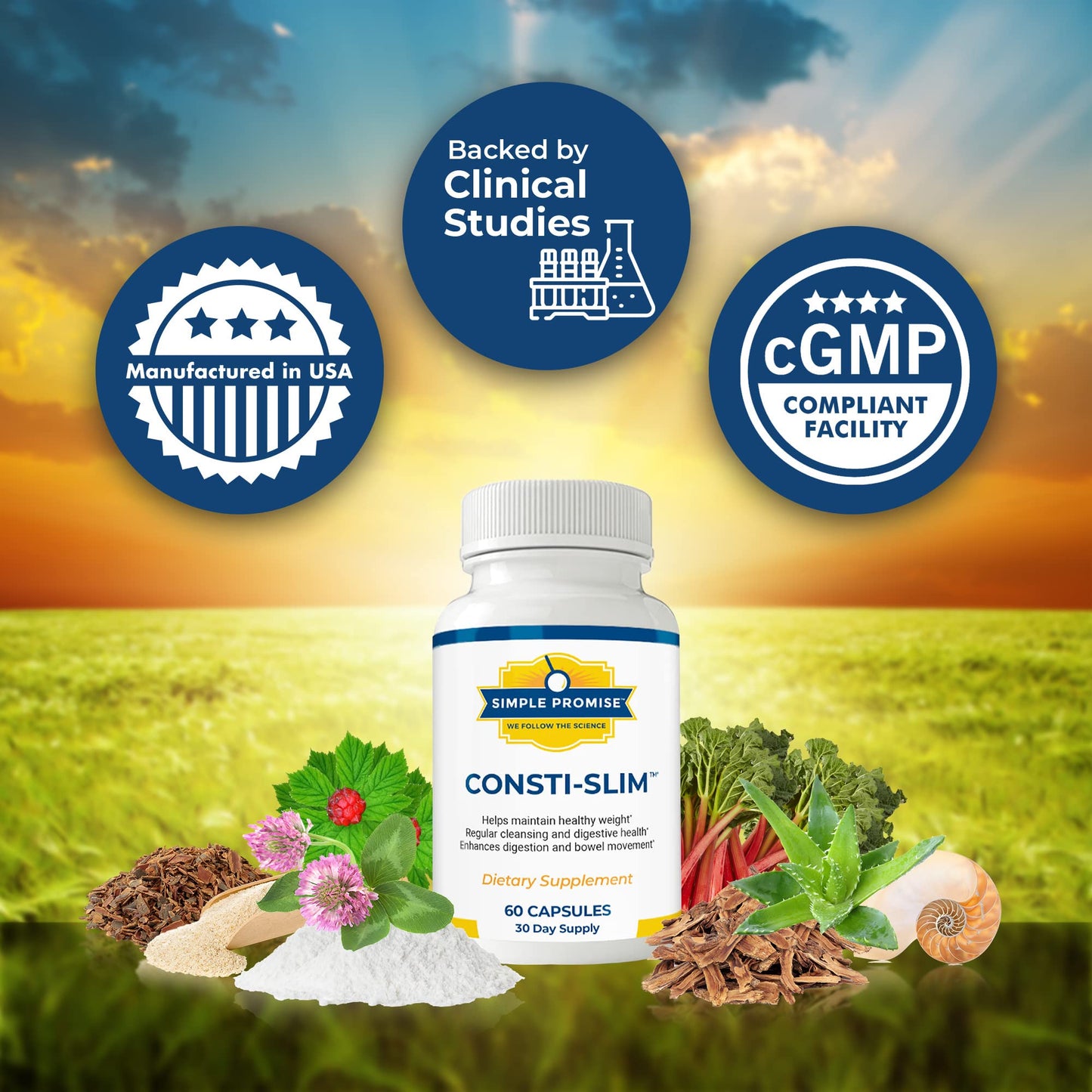 Simple Promise Consti-Slim Digestive Support for Women and Men Psyllium Husk Fiber Capsule, 60 Capsules