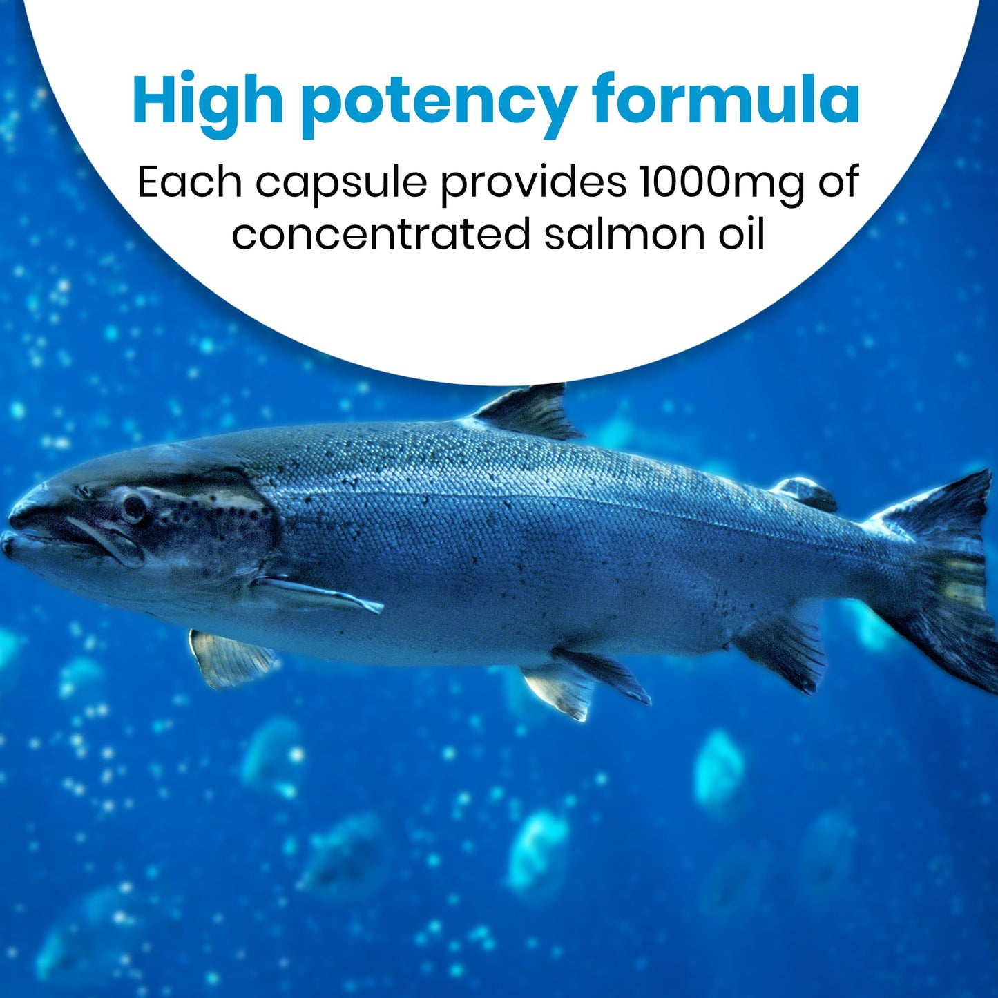Healthy Care Wild Salmon Oil 1000mg Capsules, 500 Count