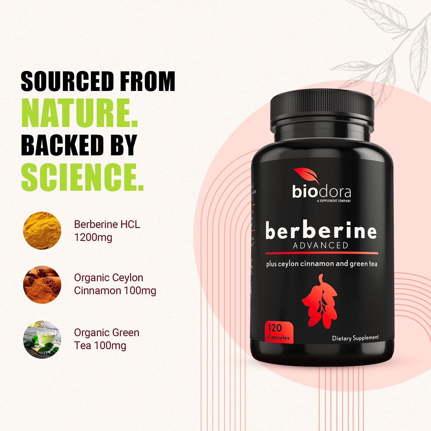 Biodora Berberine Advanced Plus with 1200mg Berberine, 100mg Ceylon Cinnamon and 100mg Green Tea Extract - 1400mg Per Dose, 120 Capsules