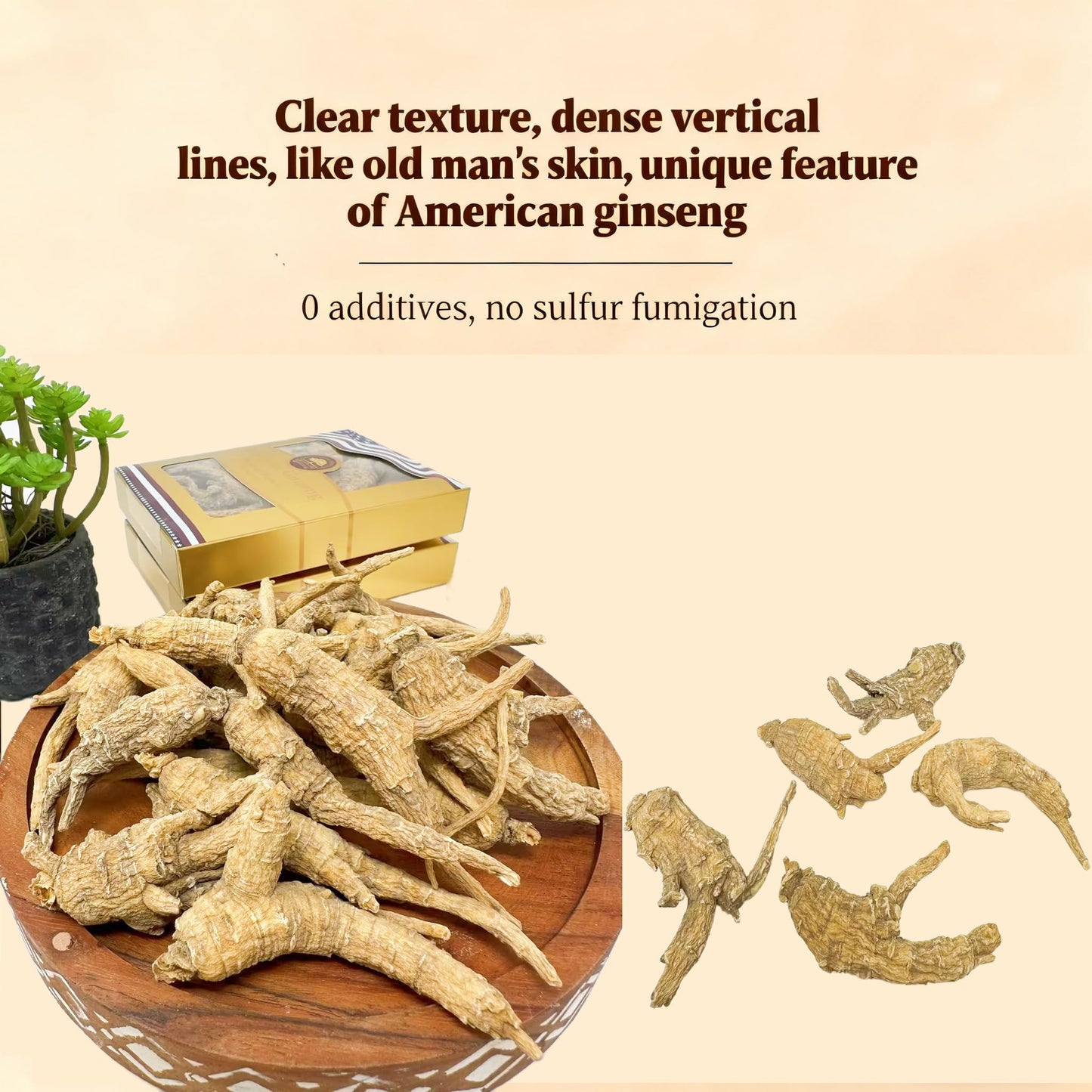 DABC OAK LAND American Wisconsin Ginseng Root Tablet 4 Tablets