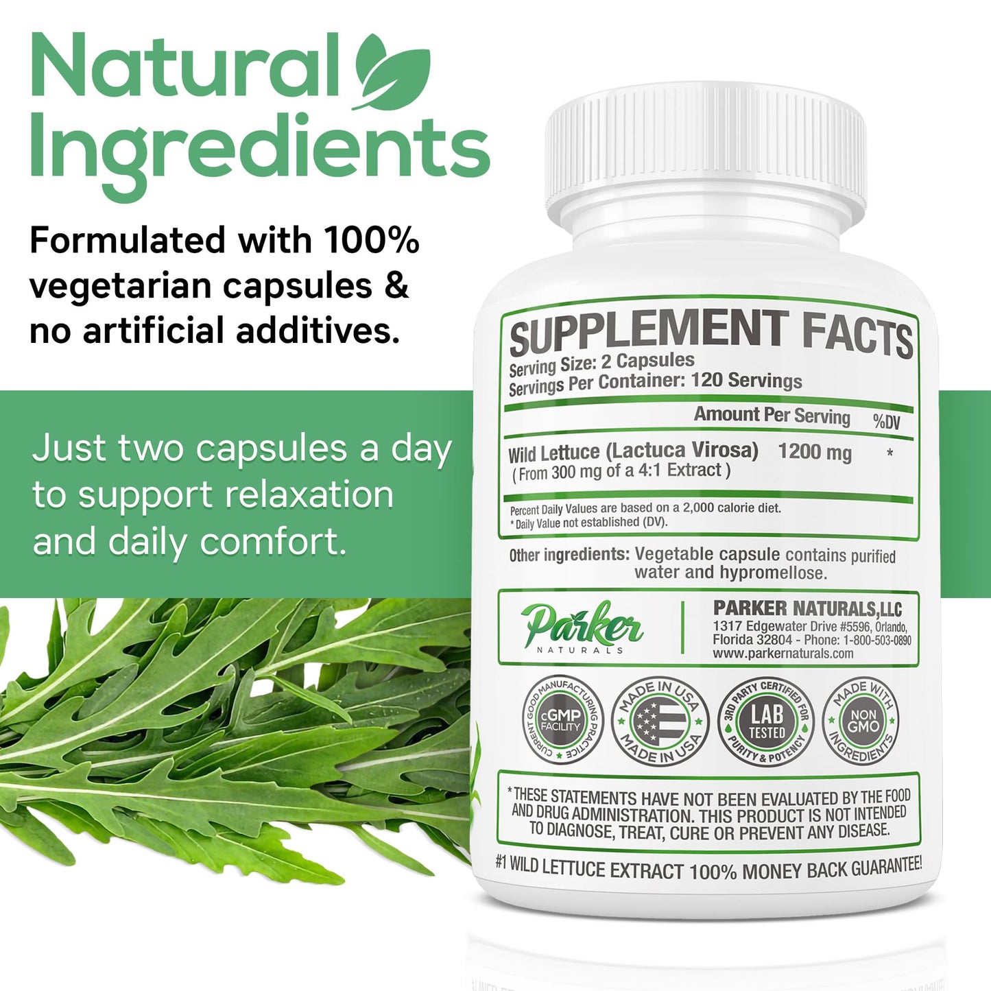 Parker Naturals Wild Lettuce Extract Herbal Sleep Supplement Capsules, 240 Count